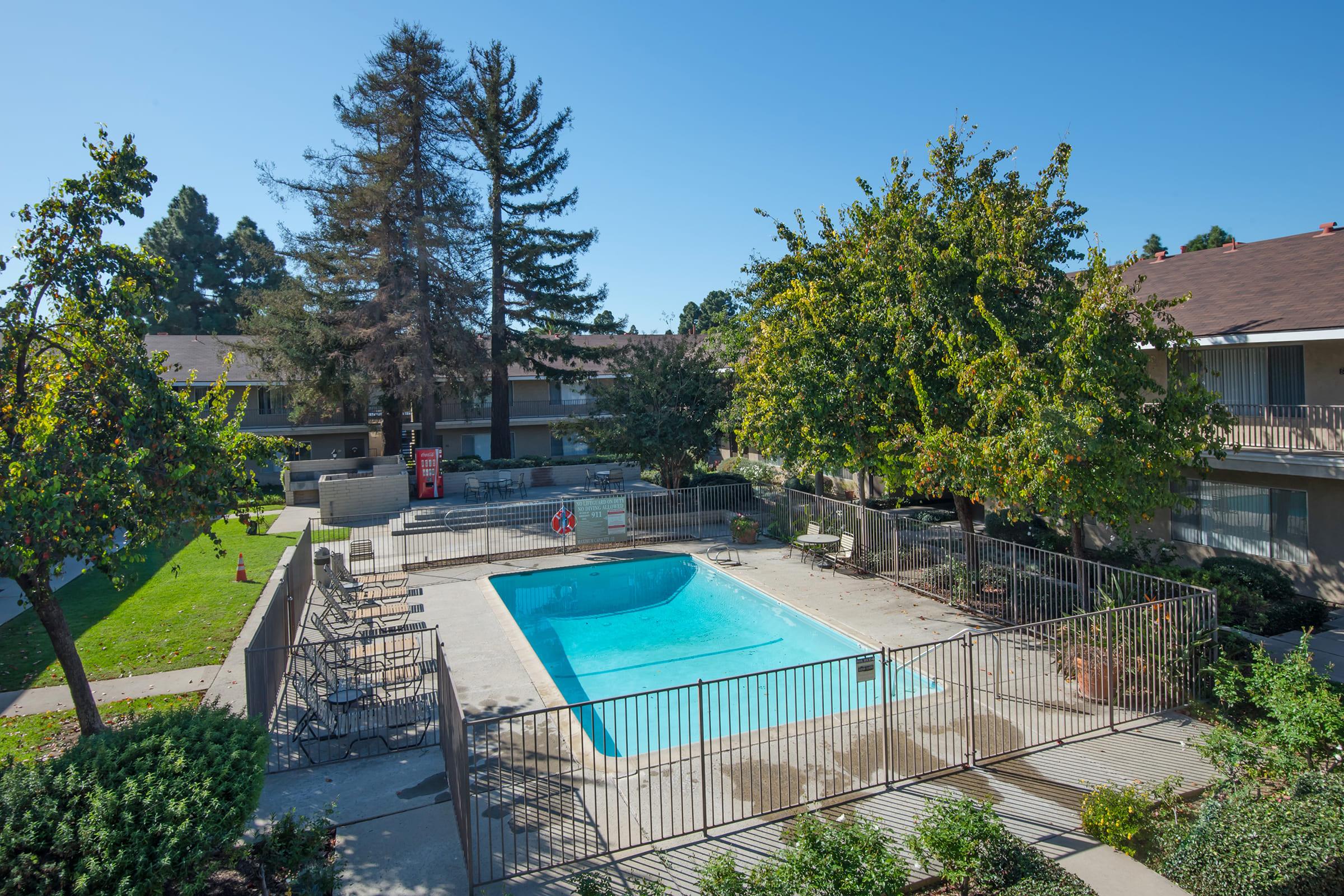 large trees surrounding a pool