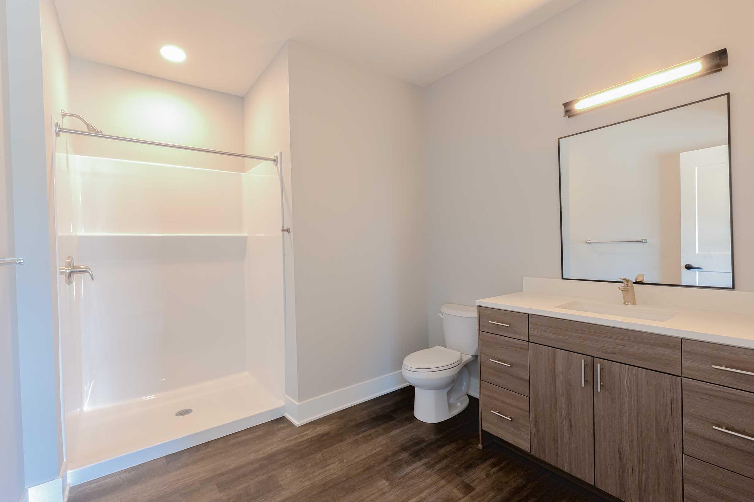 A modern bathroom featuring a walk-in shower with clear glass doors, a white toilet, and a stylish vanity with a sink. The space is illuminated by a ceiling light and has a large mirror above the vanity. The walls are painted light gray, and the floor showcases dark wood-like tiles.