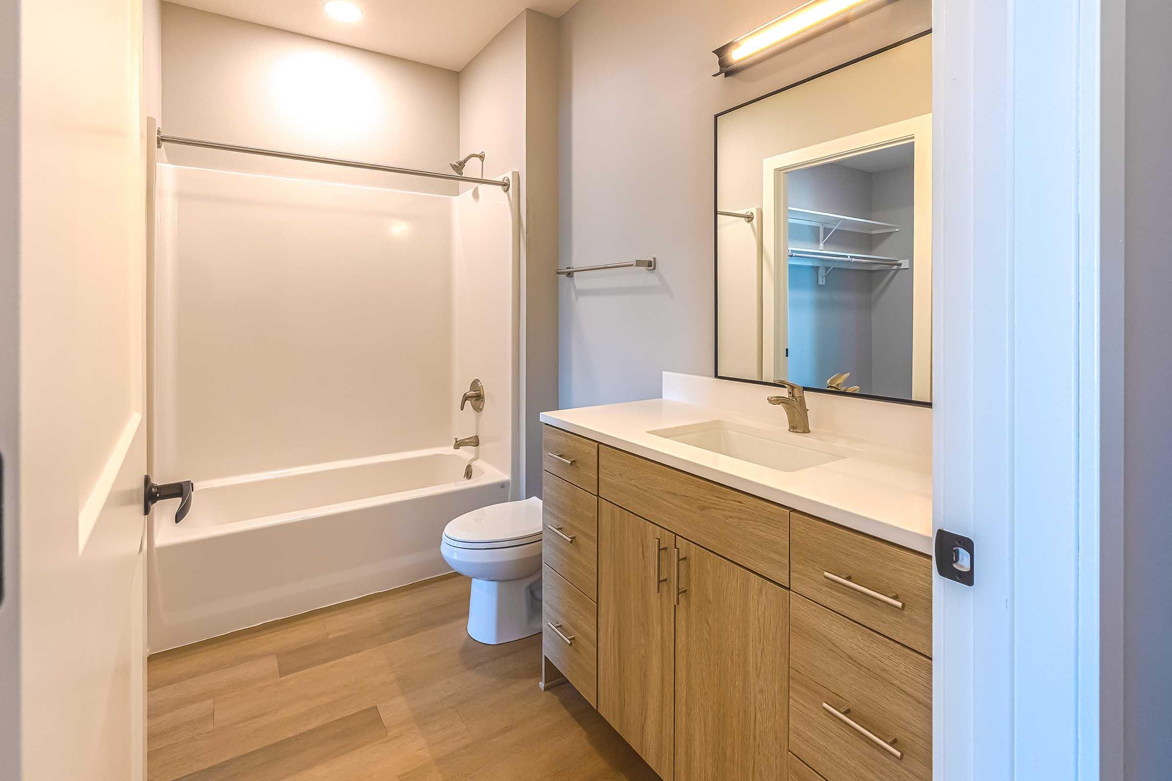 A modern bathroom featuring a bathtub with a shower, a vanity with sink and wooden cabinets, a mirror, and a toilet. The walls are light-colored, and the flooring is wood-like. There's a bright overhead light illuminating the space.