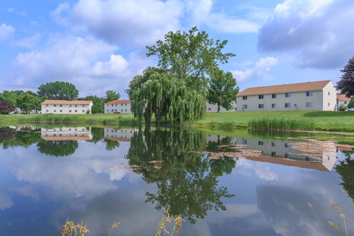 a large body of water surrounded by trees