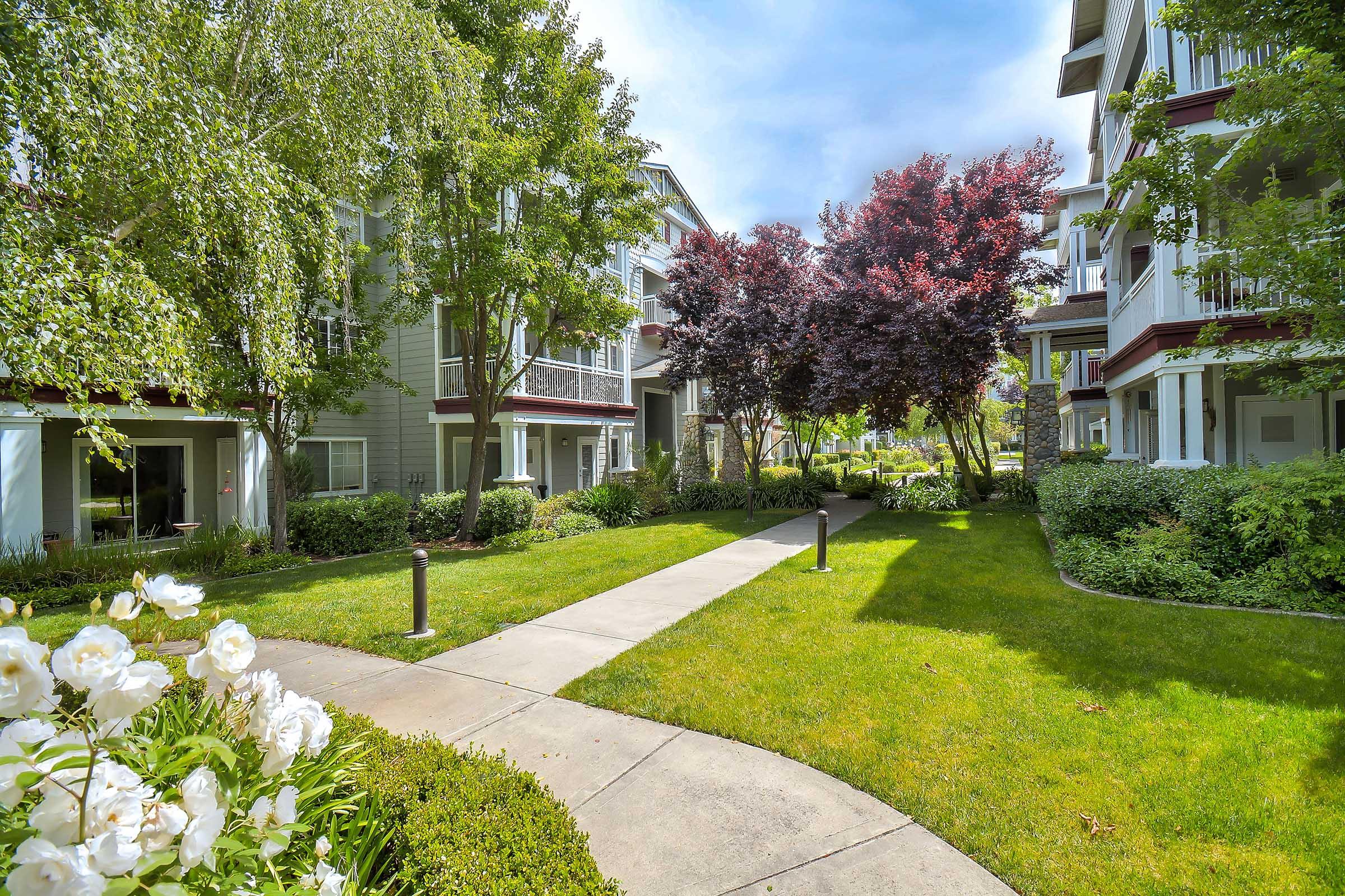 Lush green courtyard surrounded by modern apartment buildings. The pathway winds through manicured grass and blooming white flowers, with vibrant trees providing shade. The scene is bright and inviting, showcasing a peaceful residential area.