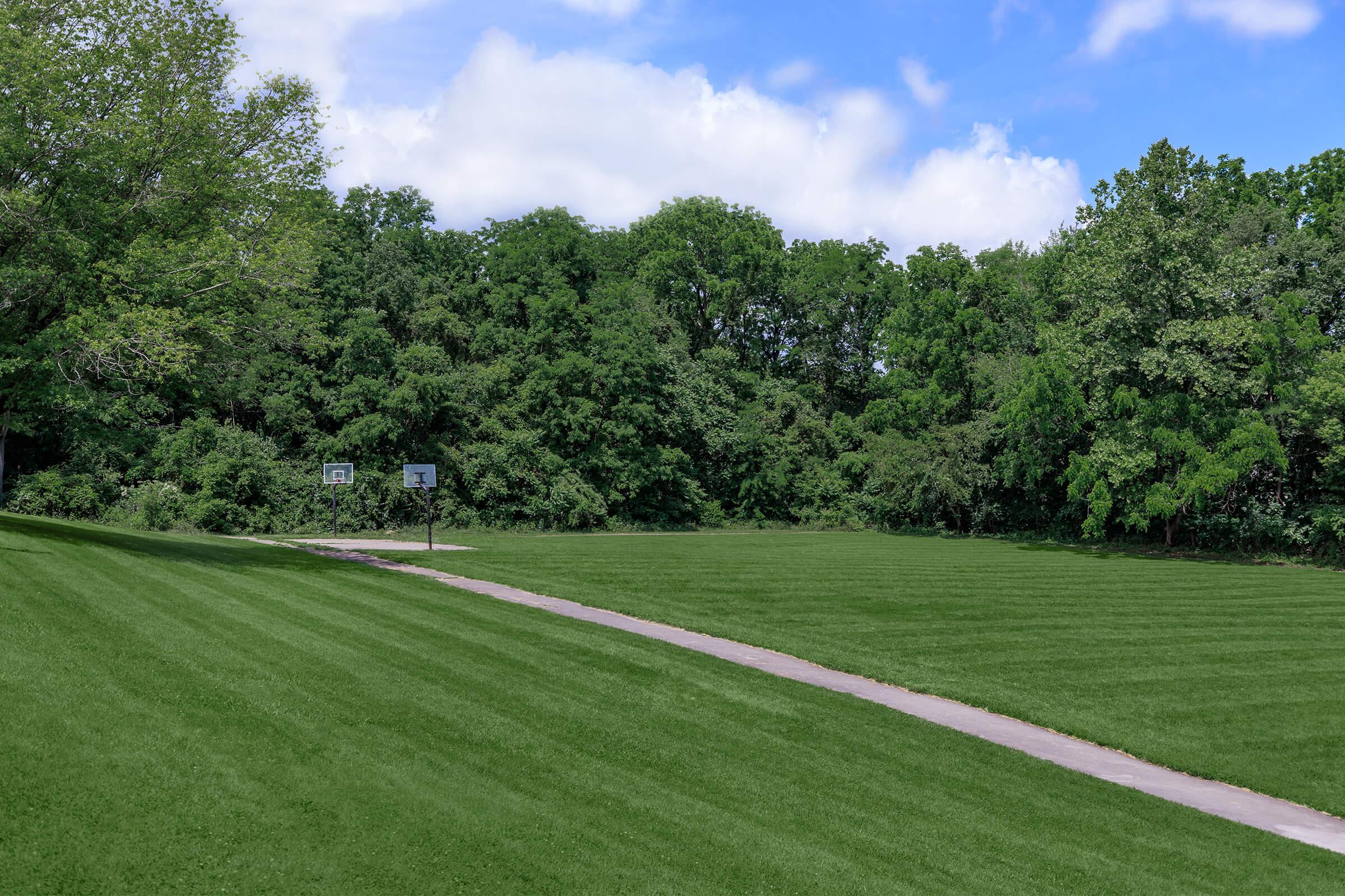 a person standing on a lush green field