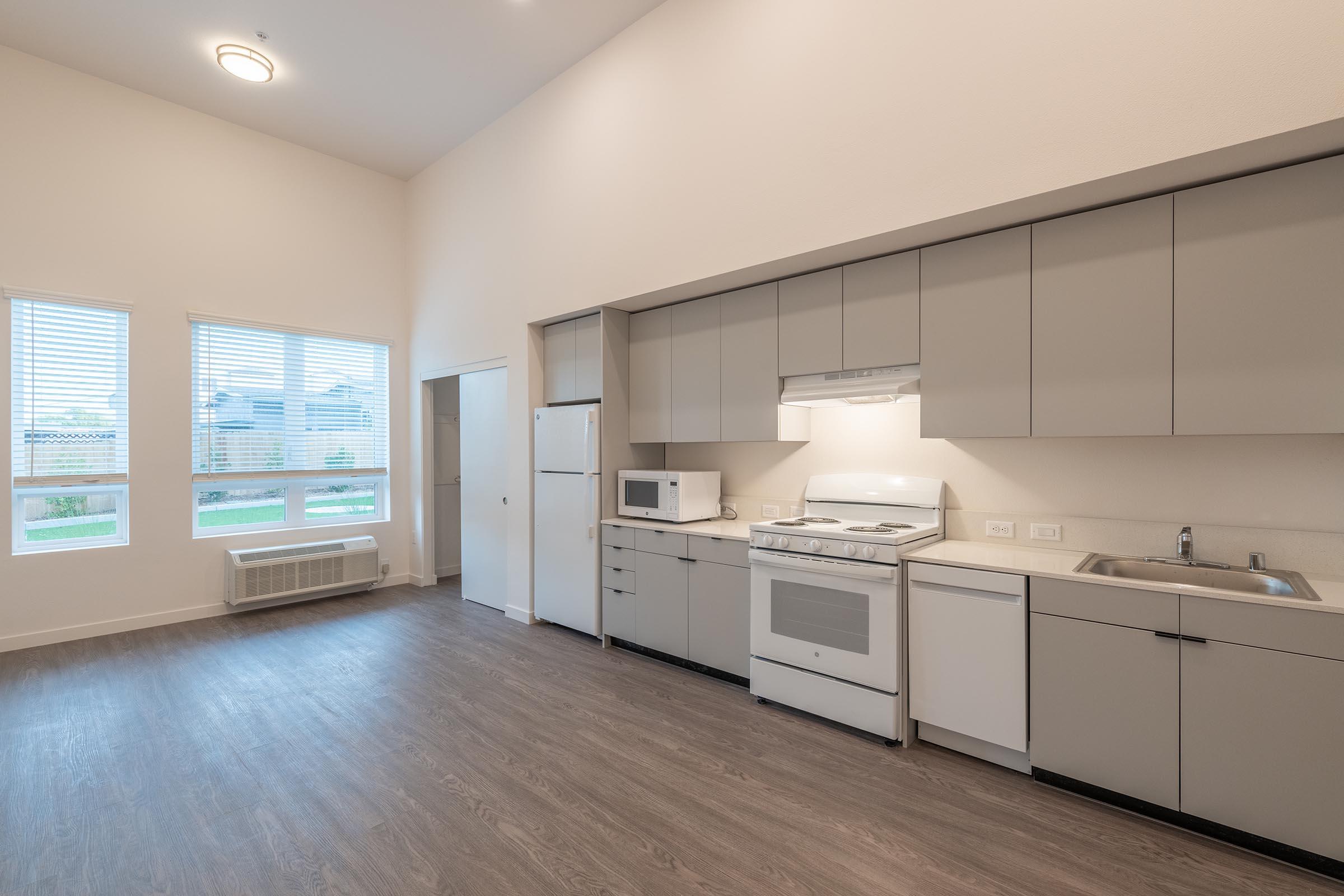 A modern kitchen featuring gray cabinets, a white stove, a microwave, and a double sink. Large windows provide natural light, and the flooring is a light wood finish. The space is clean and minimalistic, suitable for a contemporary living environment.
