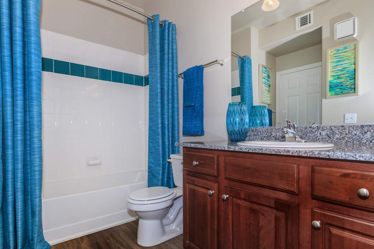 a blue and white shower curtain