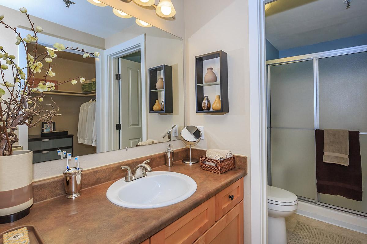 a double sink and large mirror