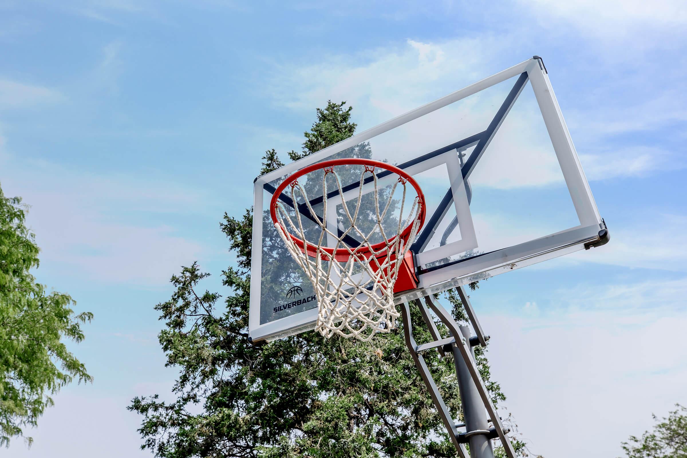 A basketball hoop with a net mounted on a pole, positioned outdoors against a backdrop of trees and a clear sky. The hoop is angled slightly upward, showcasing the backboard and net.