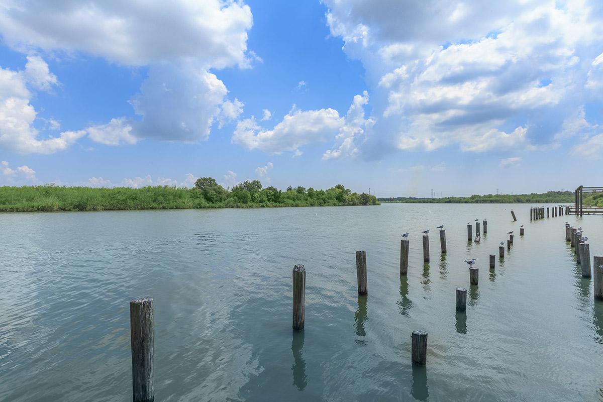 a large body of water