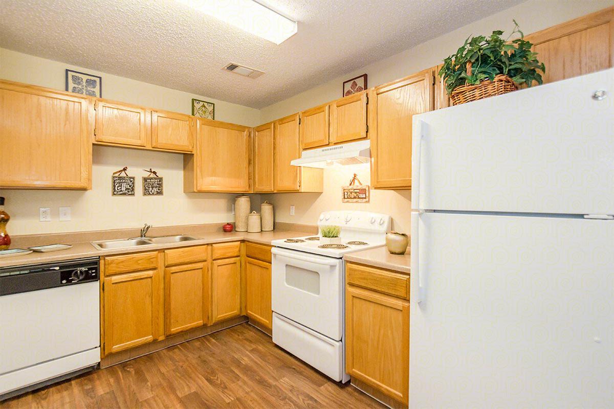 a kitchen with a stove and a refrigerator