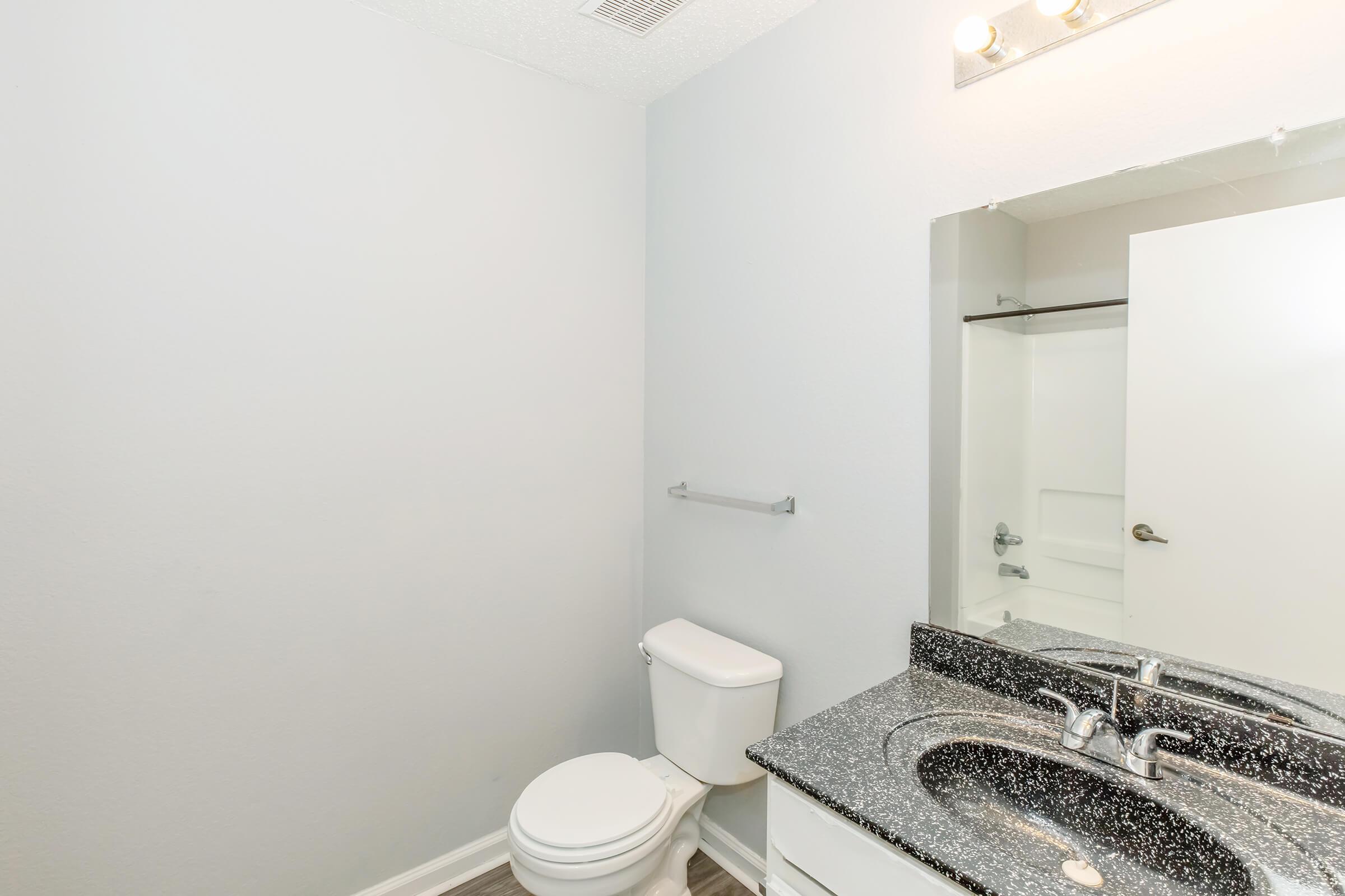 A clean, modern bathroom featuring a white toilet, a dark granite countertop with a sink, and a large mirror. The walls are painted light gray, and there is a shower area visible in the reflection. Natural light illuminates the space from a fixture above.