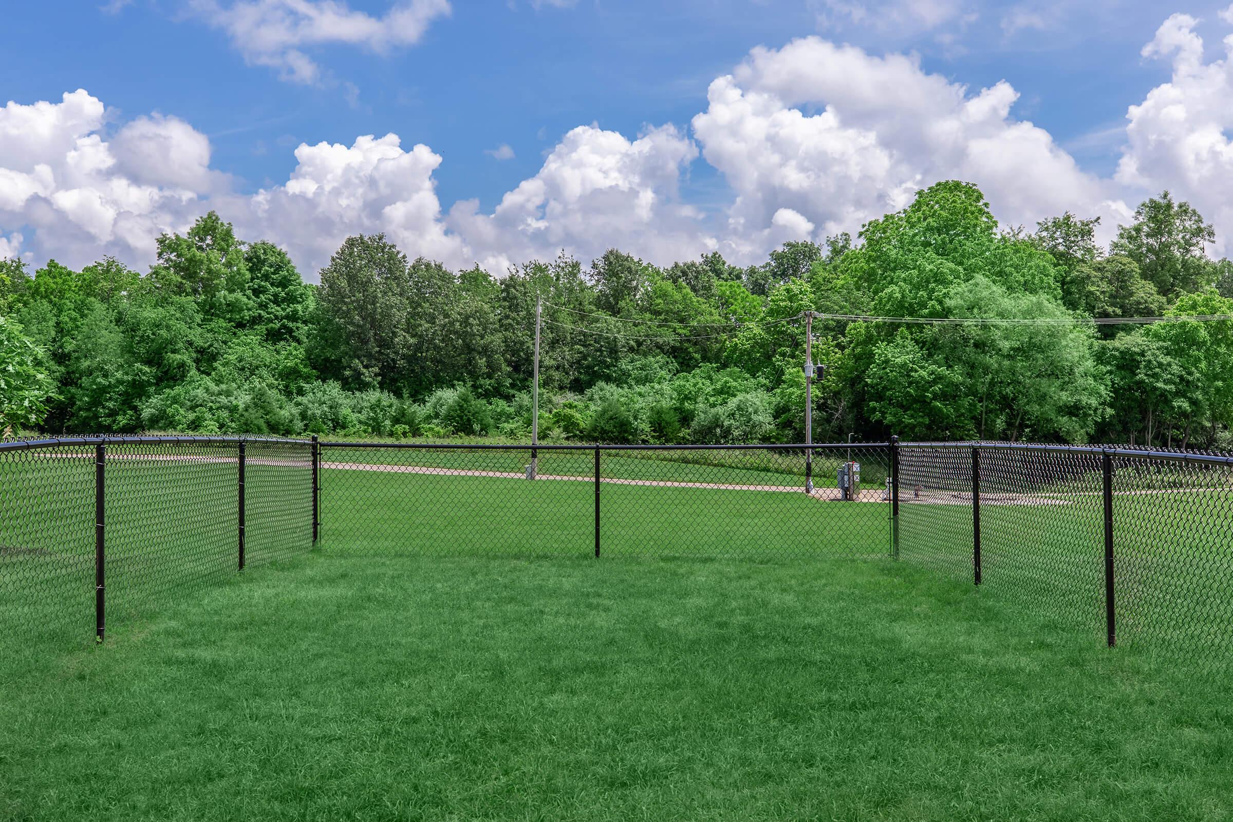 A lush green grass field enclosed by a black chain-link fence, with trees in the background under a partly cloudy blue sky.