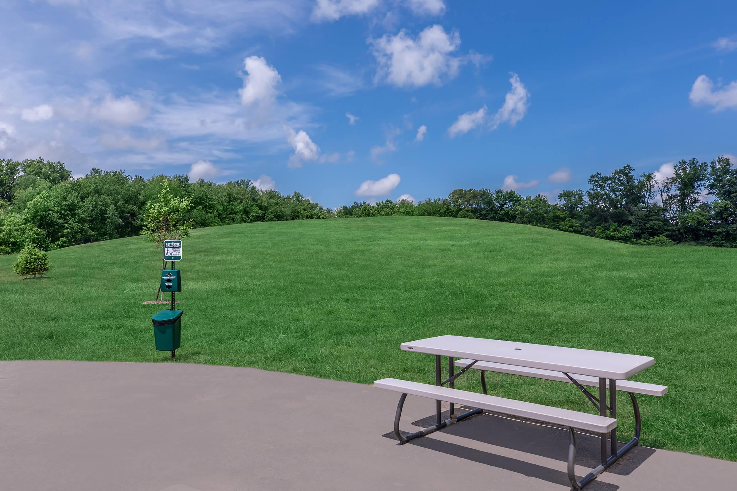 A picnic table on a paved area in a park, overlooking a large grassy hill under a blue sky with scattered clouds. A recycling bin is nearby, and lush trees line the background, creating a peaceful outdoor setting.
