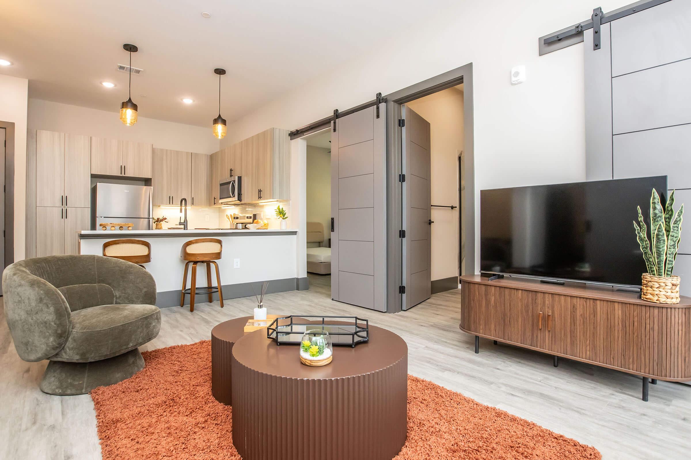 Modern living room featuring a cozy armchair and a round coffee table on a circular rug. The space includes a kitchenette with sleek cabinets and appliances, and sliding barn doors leading to another room. A TV is set on a stylish console, with decorative plants adding a touch of greenery.