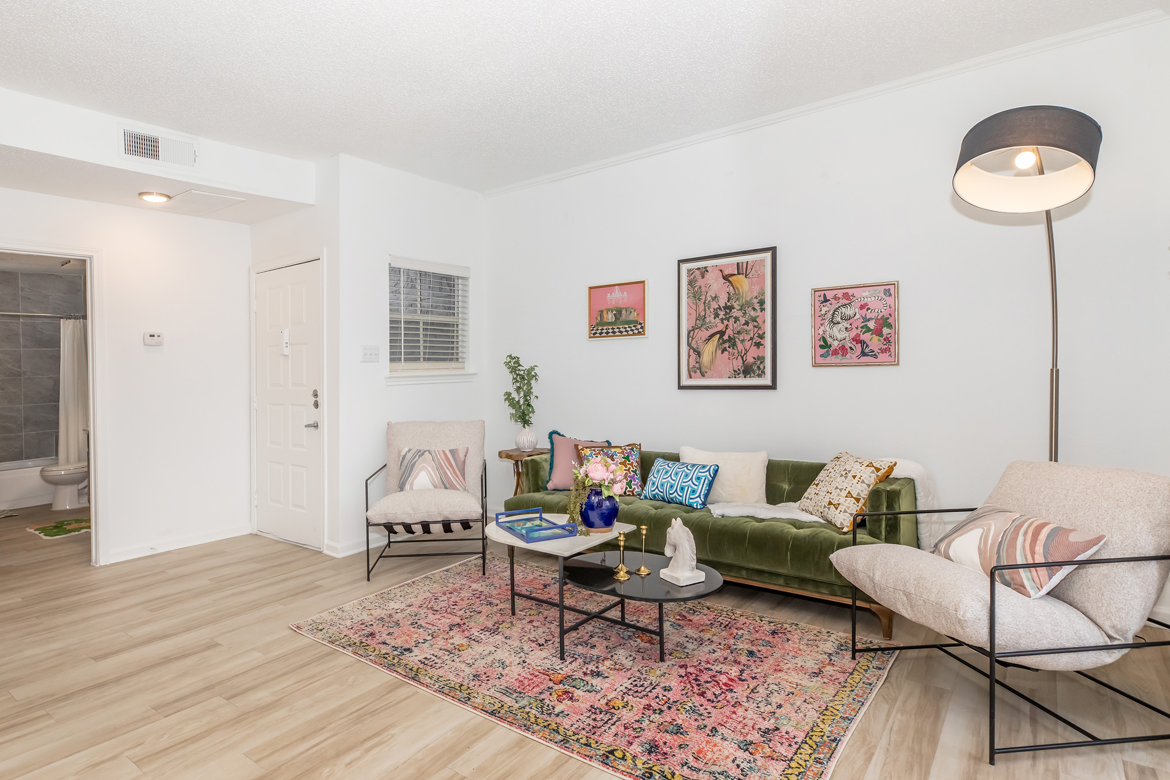 Apartment Features