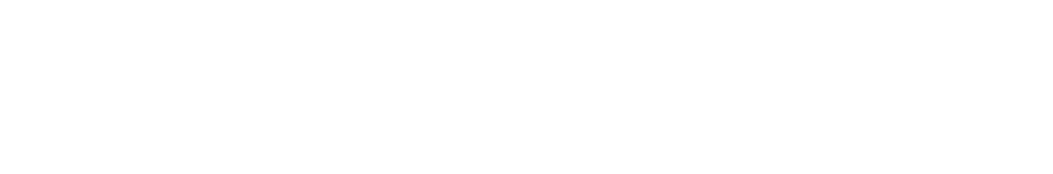 Winston ebrochure logo