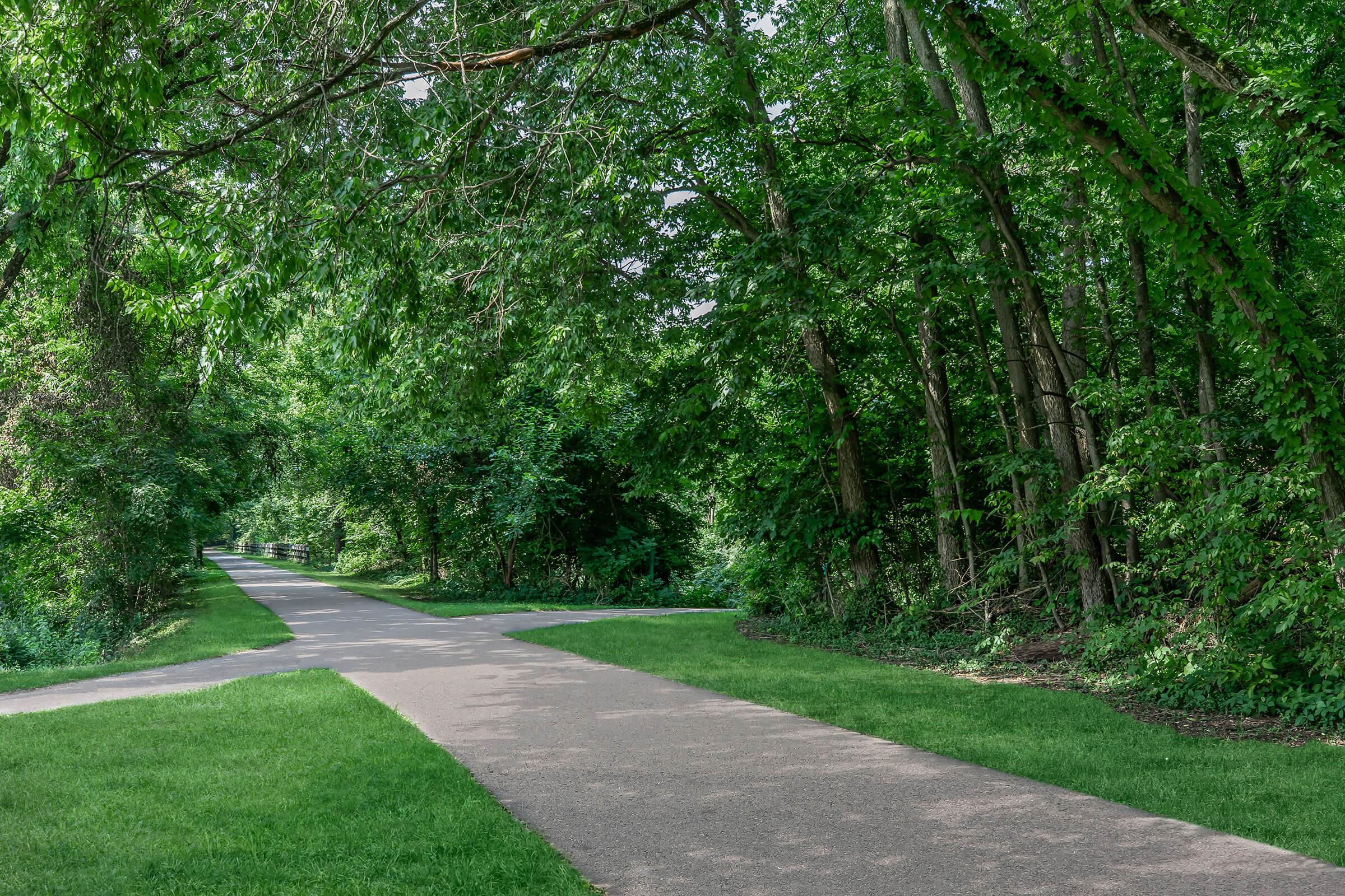 A serene park path splits in two directions, surrounded by lush greenery and tall trees. Sunlight filters through the leaves, creating a peaceful atmosphere. The well-maintained trail is lined with vibrant grass, inviting visitors to explore the natural beauty of the area.