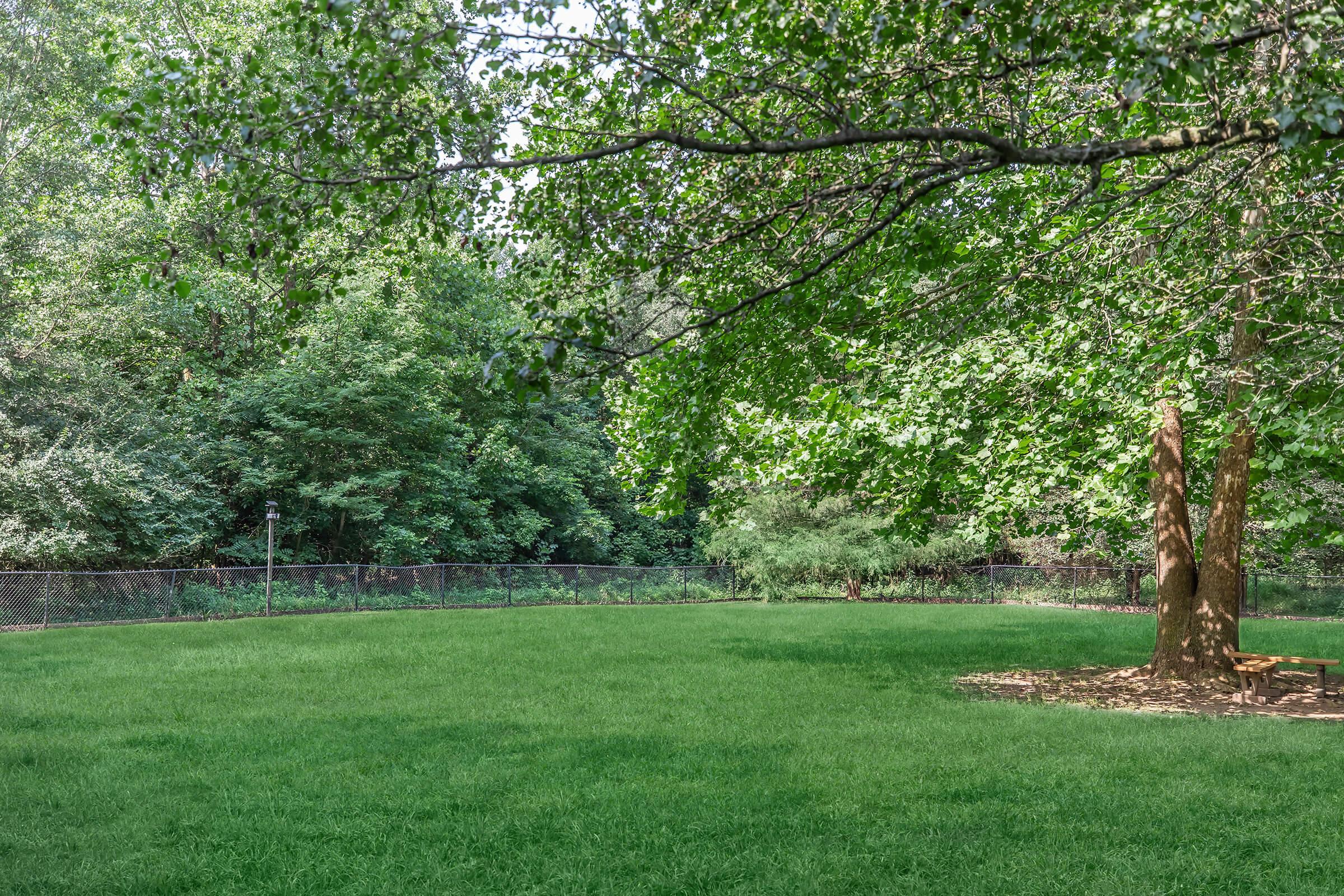 A grassy area surrounded by lush green trees, with a large tree on the right side. The scene is bright and inviting, featuring a well-maintained lawn and a hint of a fence in the background. The sunlight filters through the leaves, creating a serene outdoor space.