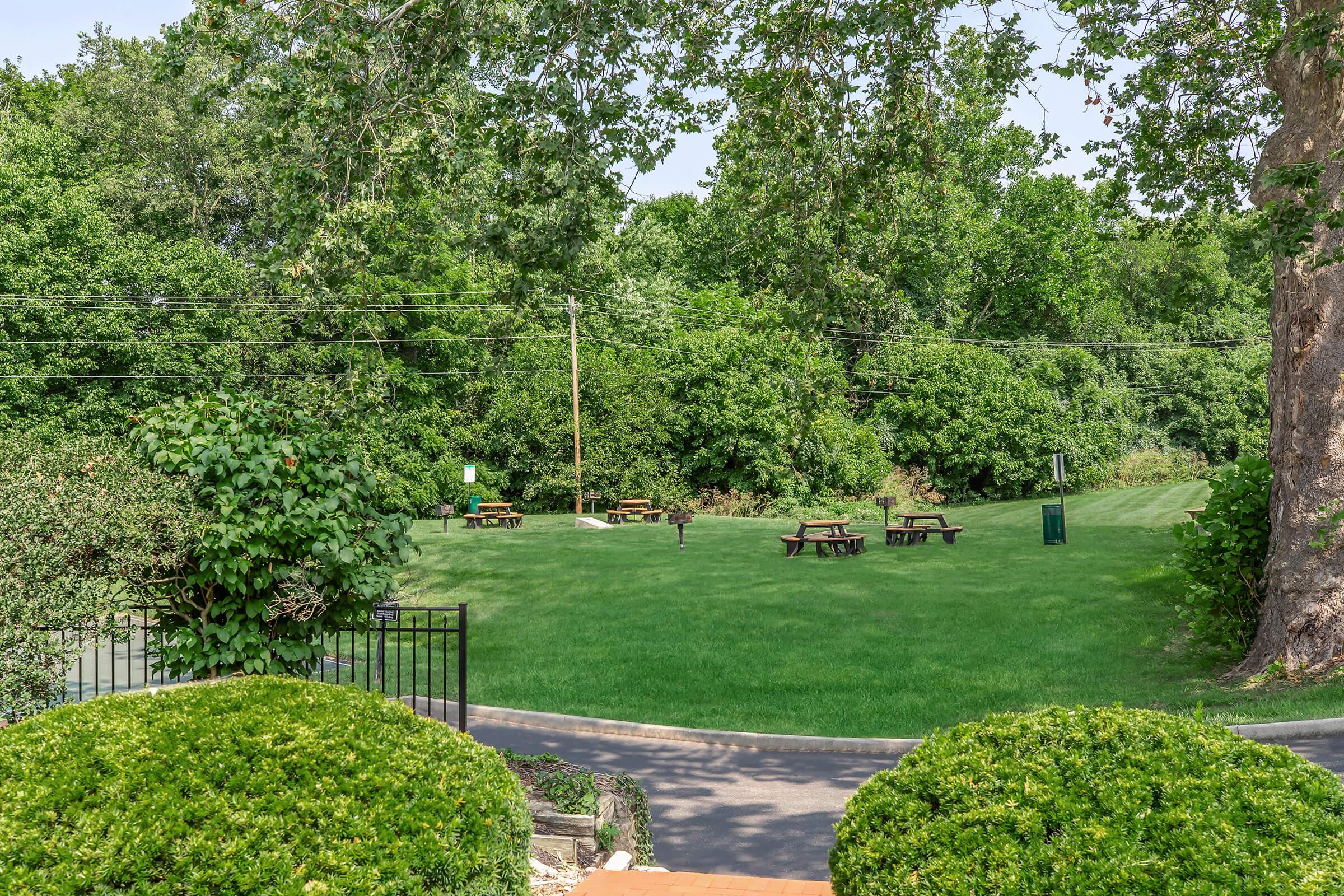 A green outdoor area featuring several picnic tables scattered across a grassy field. The background is filled with lush trees and shrubs, creating a serene and natural environment. There are also utility poles visible, suggesting accessibility.