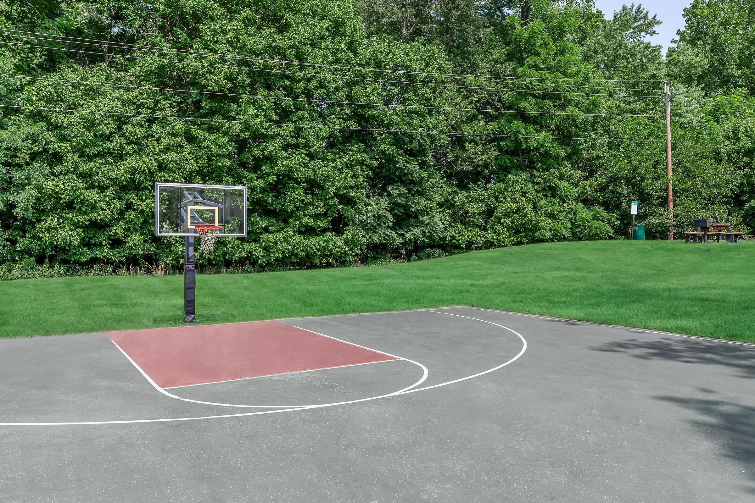 a close up of a basketball game in a park