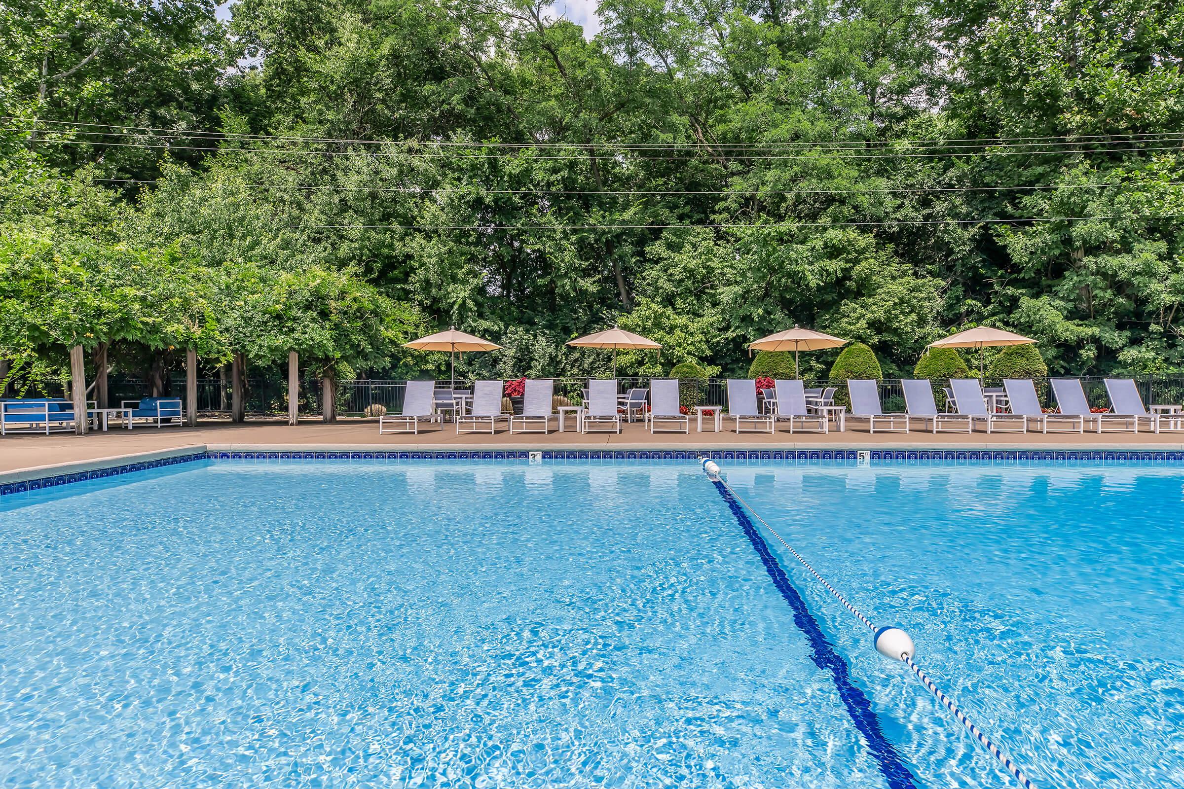 A clear blue swimming pool surrounded by green trees. Lounge chairs with umbrellas line the poolside, offering a relaxing atmosphere. The water is calm, reflecting the sky and greenery, creating a serene outdoor space for leisure and swimming.