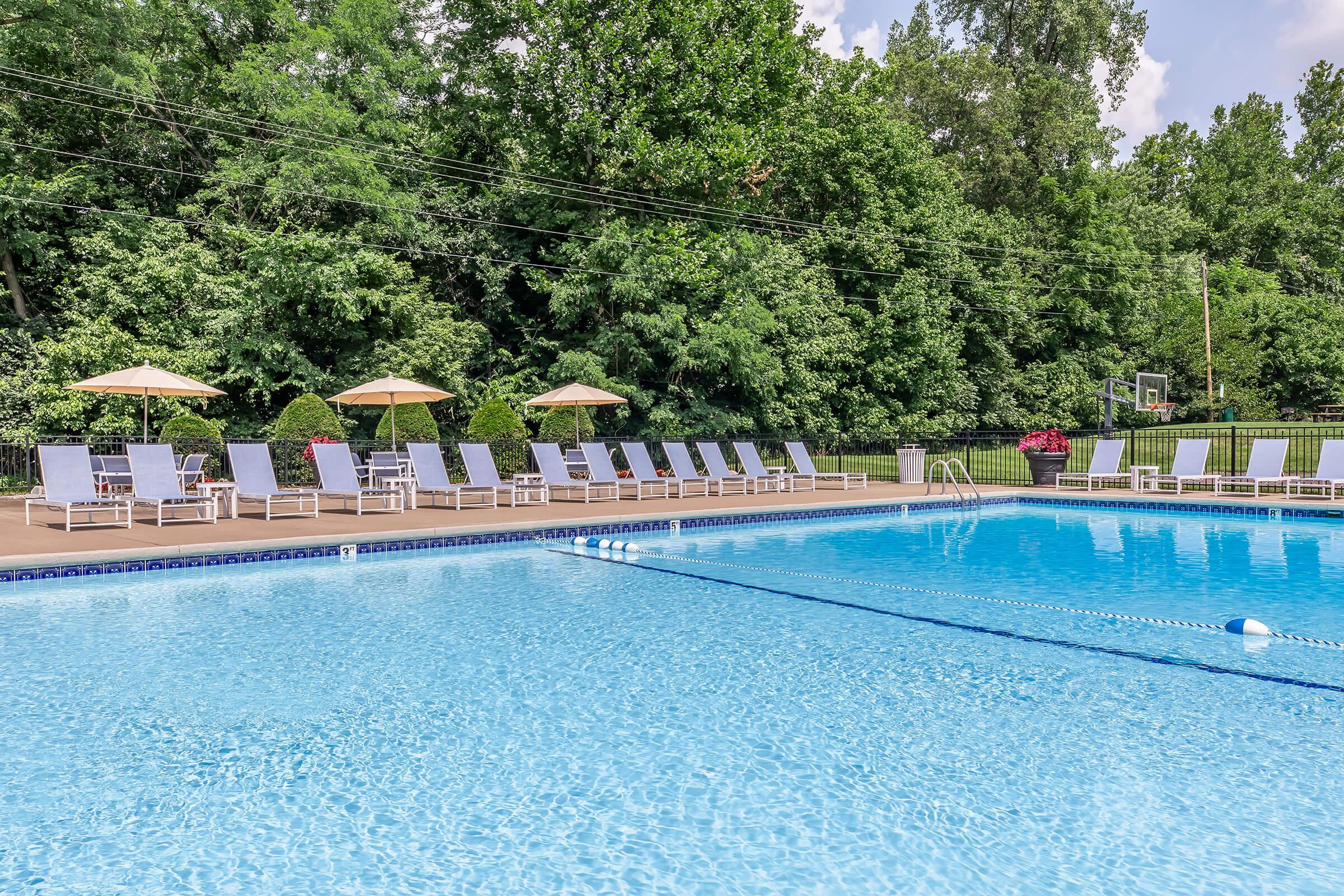 A serene outdoor swimming pool surrounded by sun loungers and umbrellas. Lush green trees provide a natural backdrop, and the pool is well-maintained with clear blue water. The area is perfect for relaxation and leisure under a sunny sky.