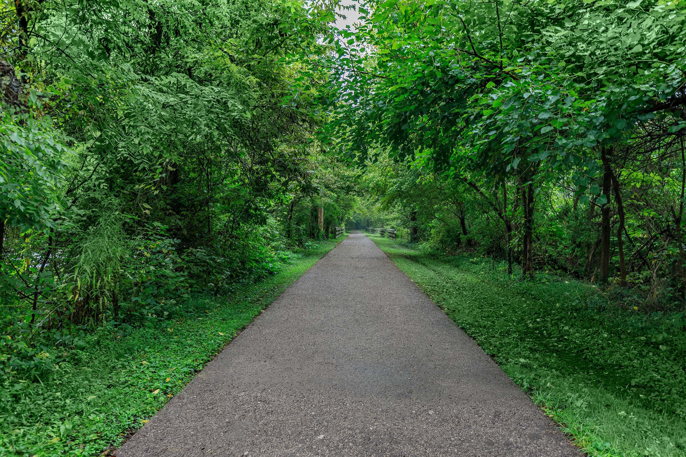 a path with grass and trees