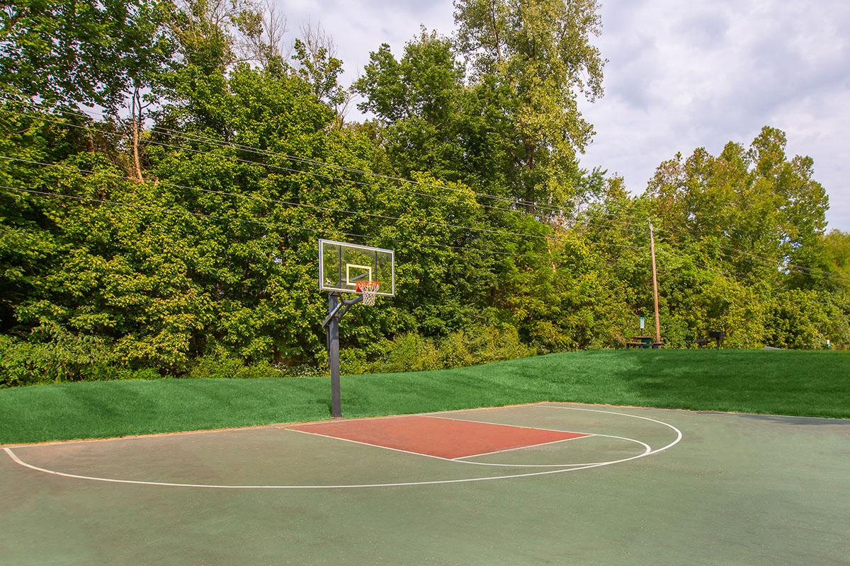 a close up of a basketball game in a park with Augusta National Golf Club in the background