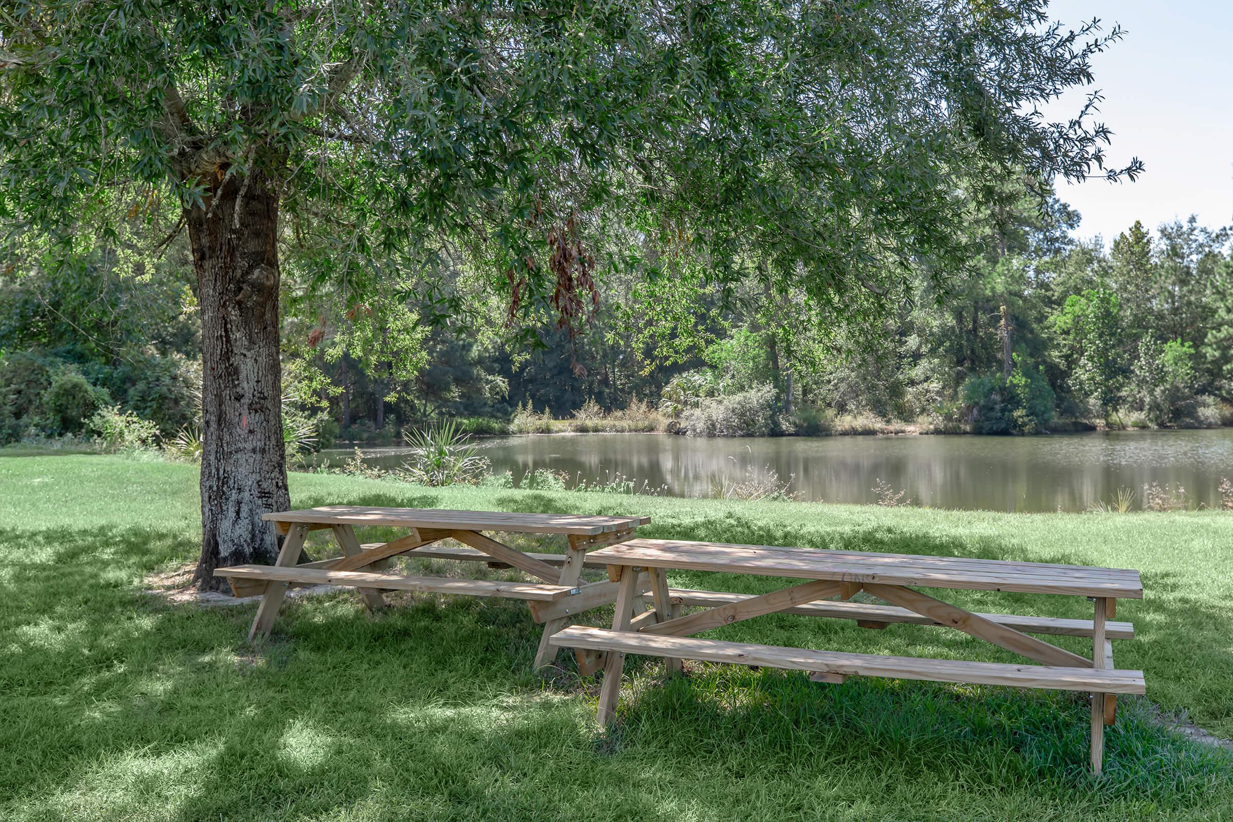 a wooden bench sitting in the middle of a park