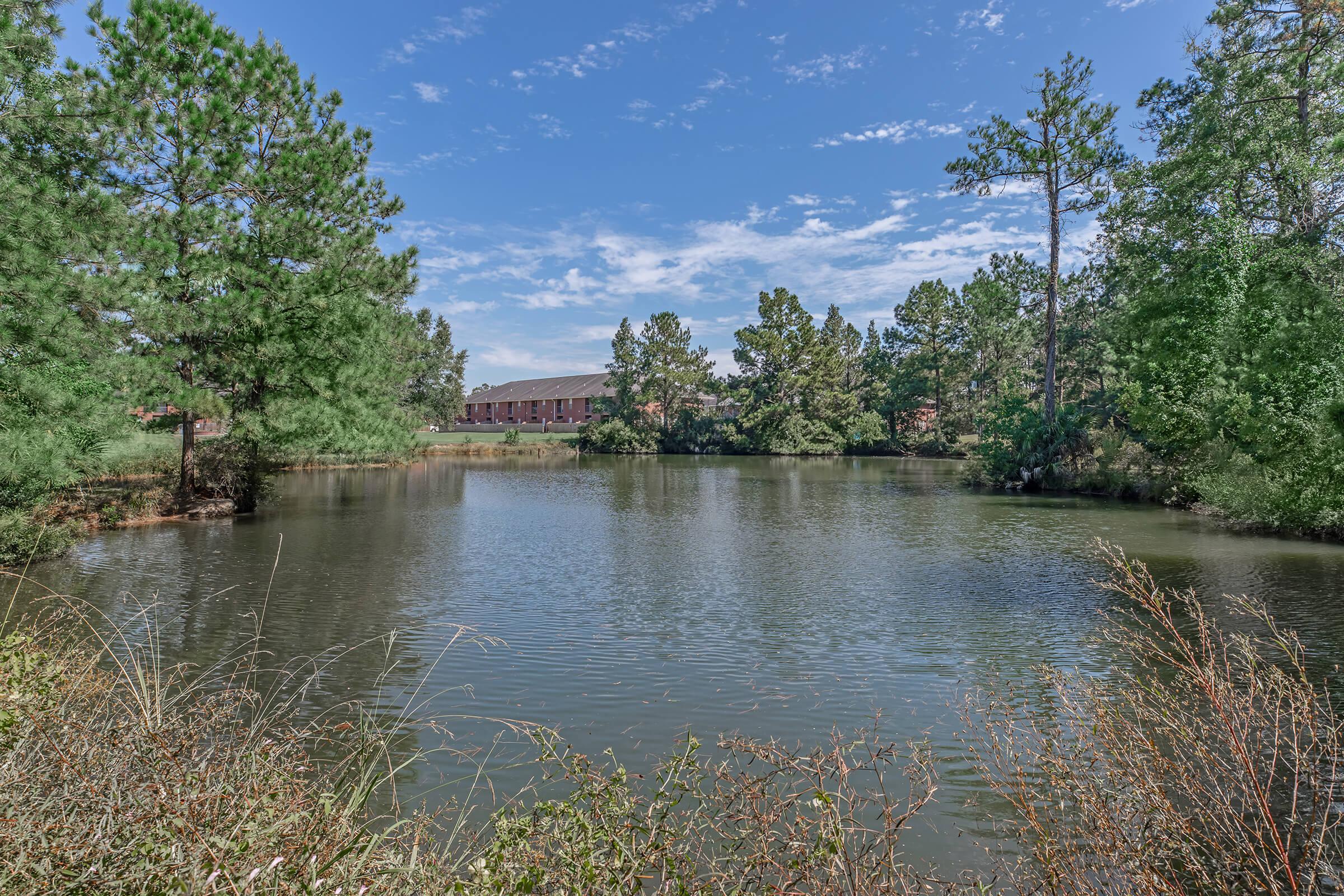 a pond next to a body of water