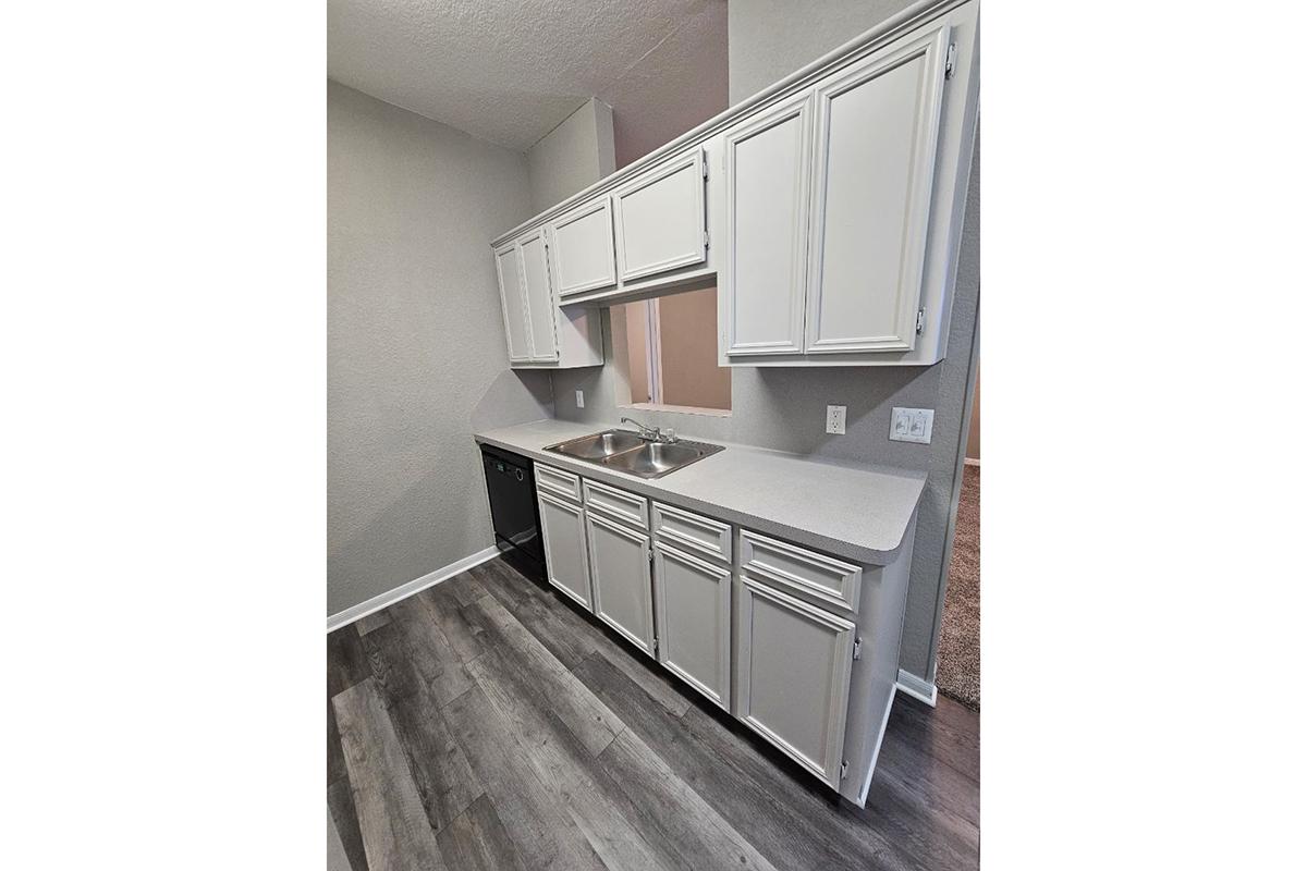 Compact kitchen featuring white cabinets, a double sink, and a dishwasher. The countertops are light-colored, and the flooring is a dark wood finish. The wall color is neutral, creating a modern and clean look. The layout is efficient, making it suitable for small spaces.