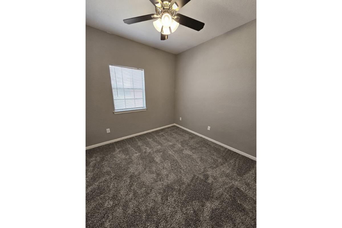 Empty room with light gray walls and a ceiling fan. The floor is covered with soft, textured carpet. A window with white blinds allows natural light to enter, illuminating the space. The room has a simple and clean design, suitable for various uses.