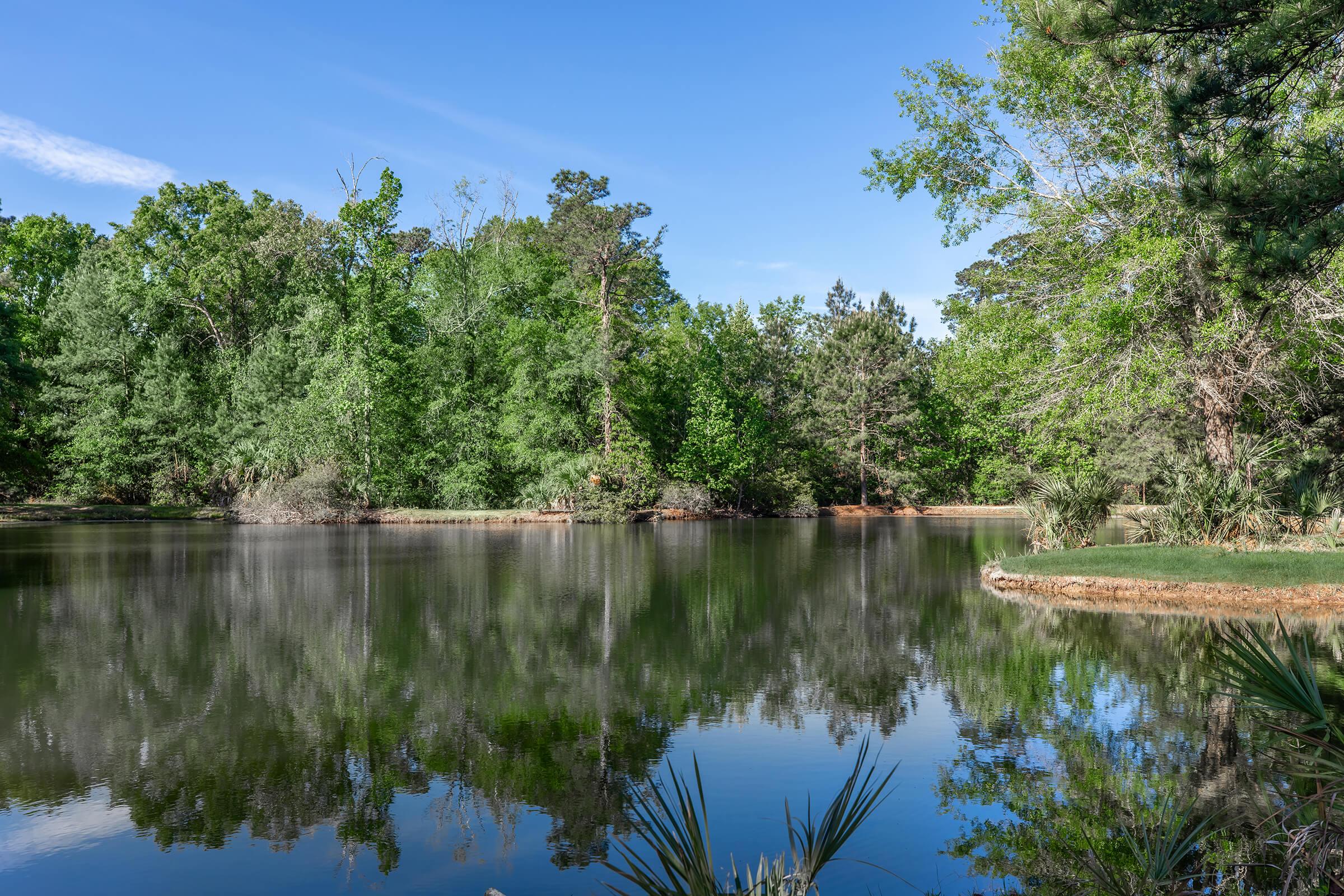 A serene lake surrounded by lush green trees and shrubs, reflecting the vibrant vegetation on its calm surface. The clear blue sky above adds to the peaceful atmosphere, making it a picturesque natural landscape ideal for relaxation and contemplation.