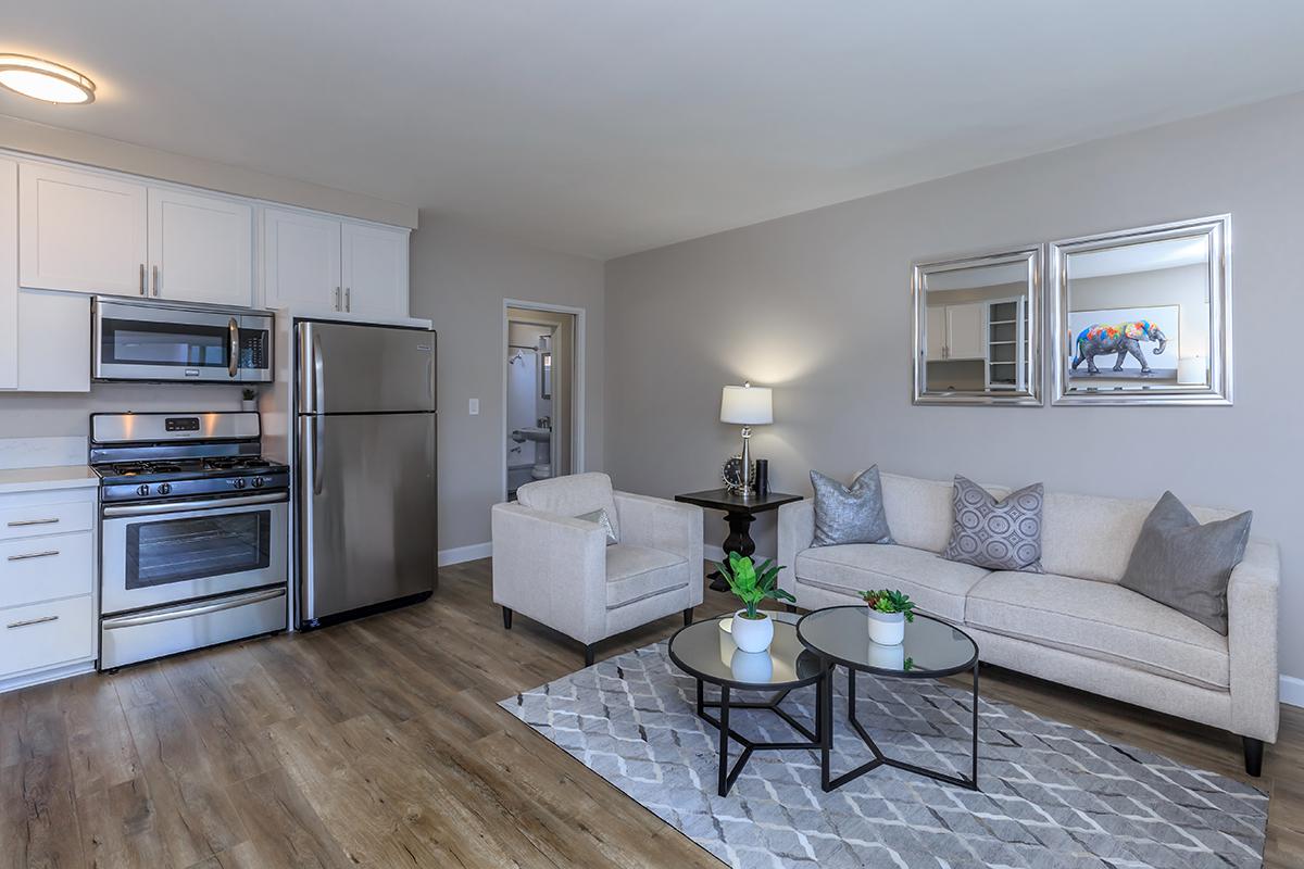 Our one bed one bath B floor plan is open and spacious here at Flats on Elk. This photo showcases stainless appliances and wood-like flooring.