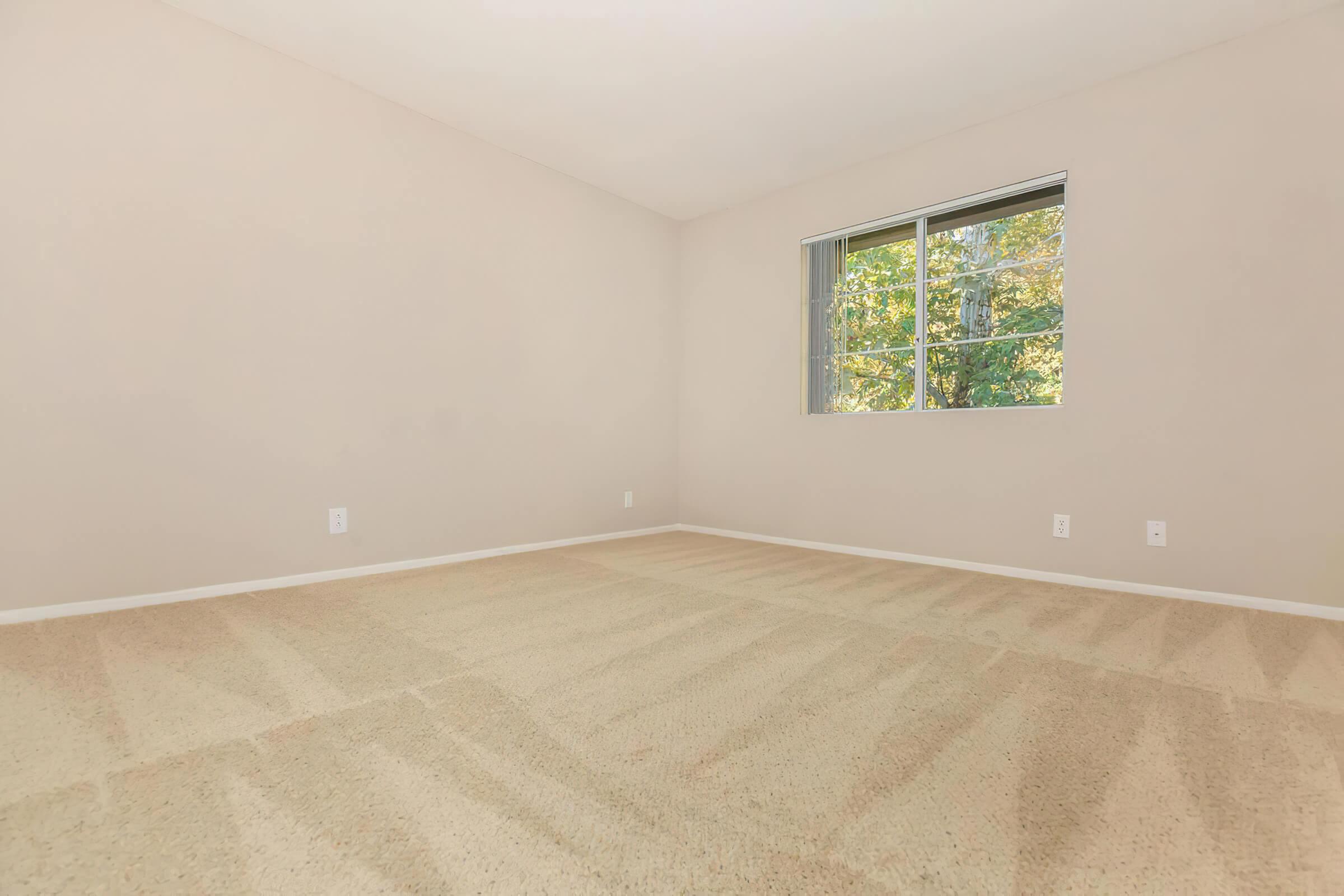 Vacant carpeted bedroom
