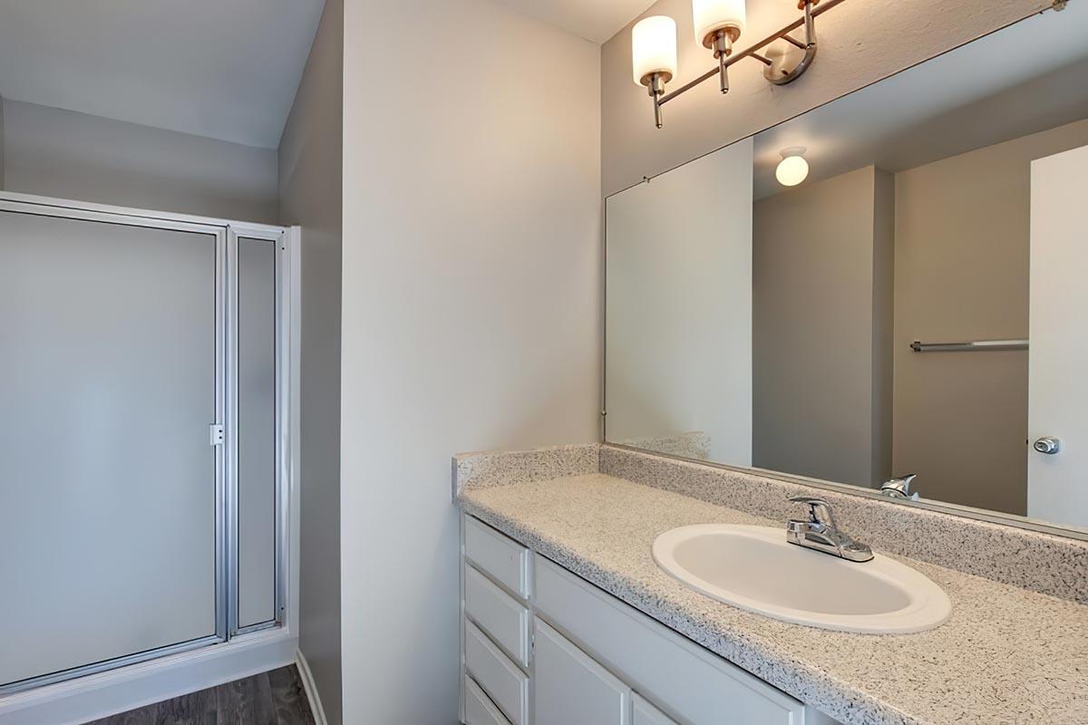 a shower that has a sink and a mirror