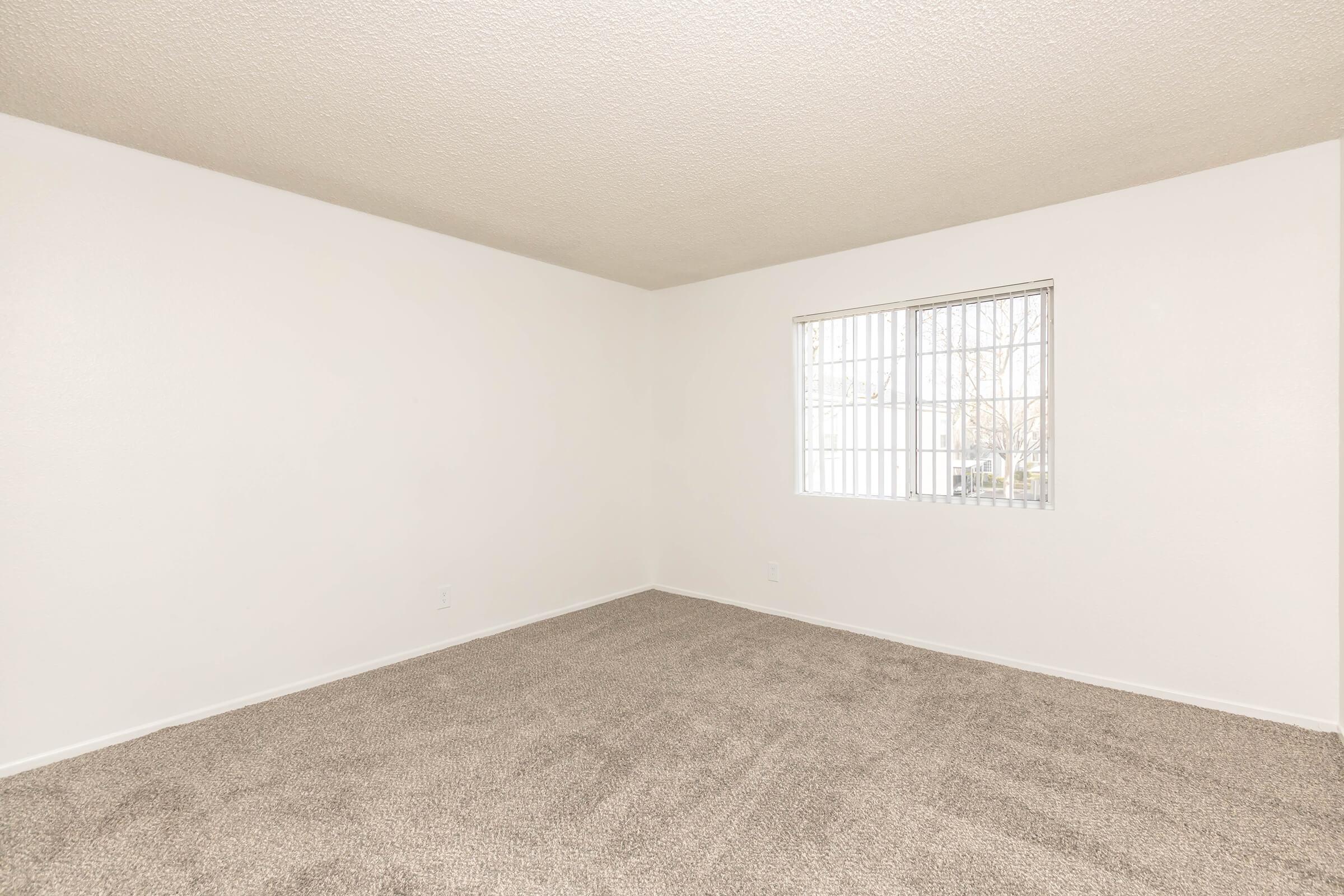 A spacious, empty room with light-colored walls and beige carpet. A window with vertical bars allows natural light to enter, illuminating the room. The overall ambiance is bright and simple, suitable for various interior design options.