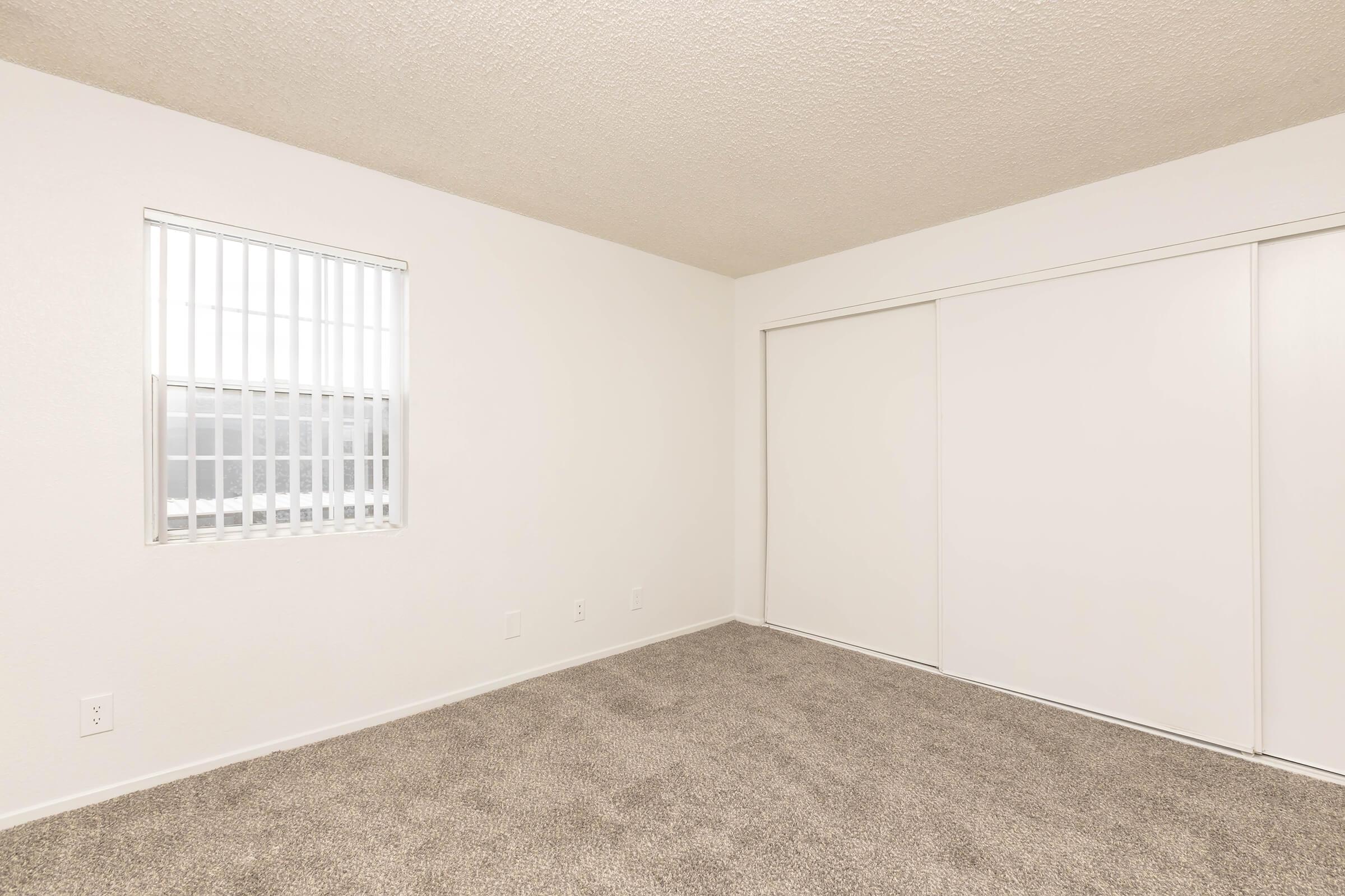 A clean, empty room with light beige carpet and white walls. A window with horizontal blinds is located on the left side, providing natural light. There is a large sliding closet door on the right, creating a spacious, uncluttered environment suitable for various purposes.