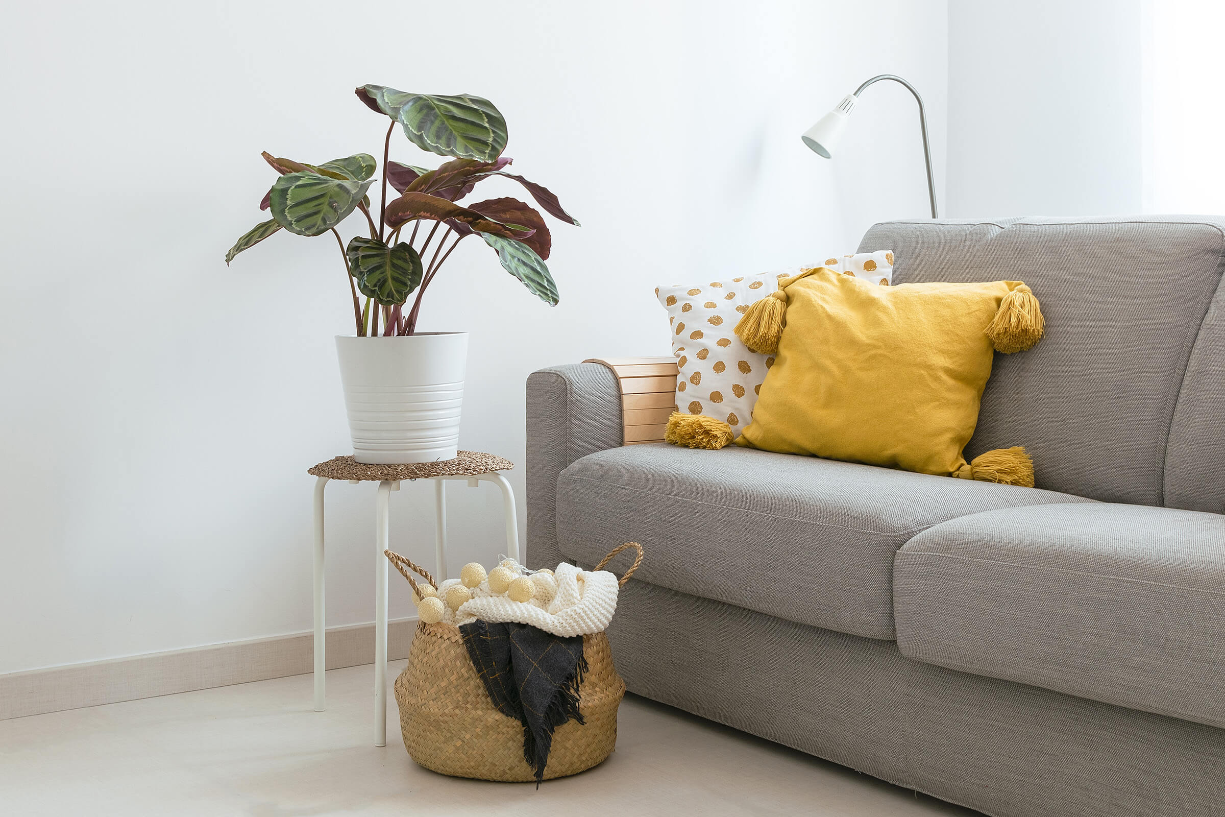 Apartment Features