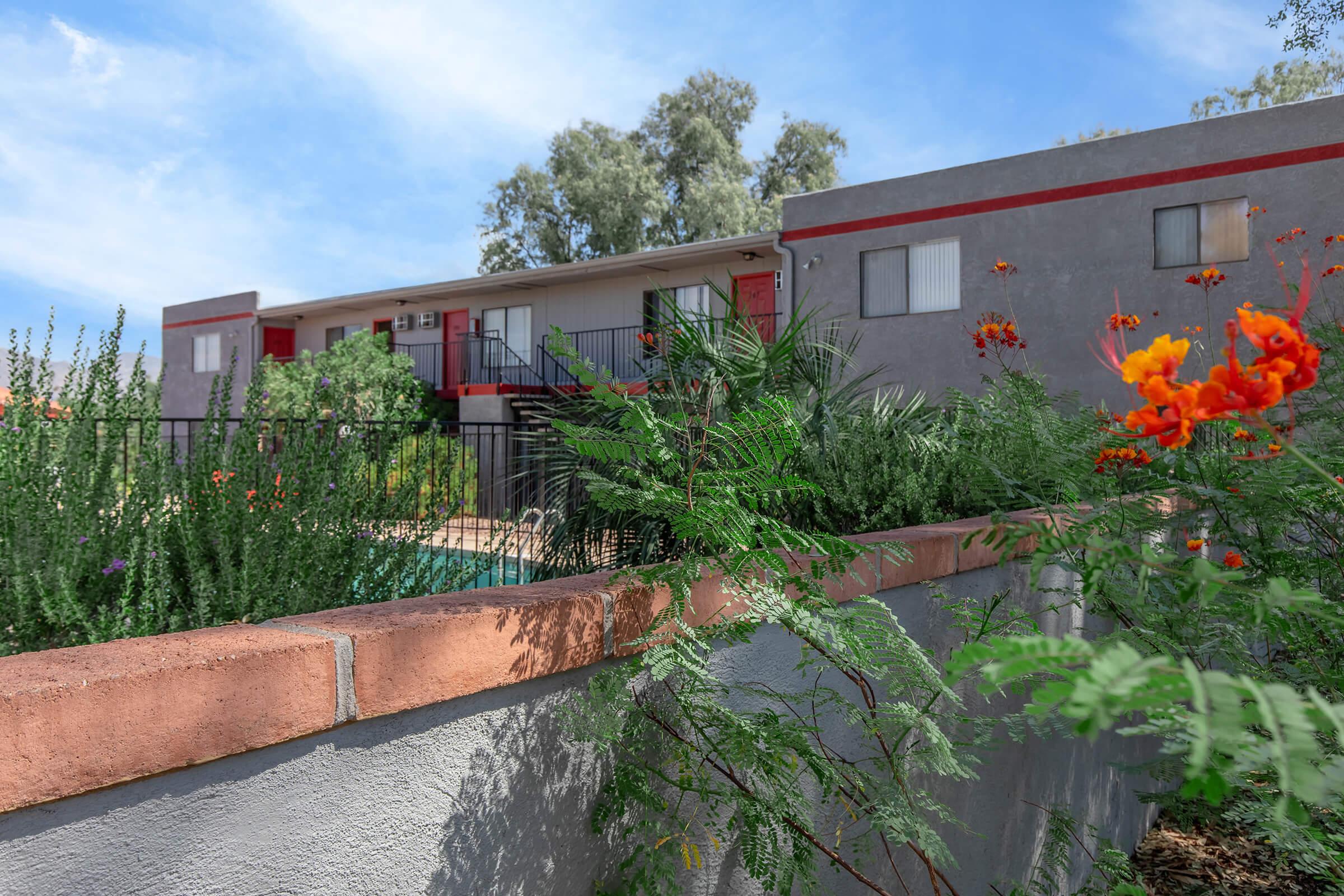 A colorful garden with blooming orange flowers and lush greenery frames a low wall in the foreground. Behind the wall, there is a multi-story apartment building with a swimming pool visible, surrounded by trees and a clear blue sky.