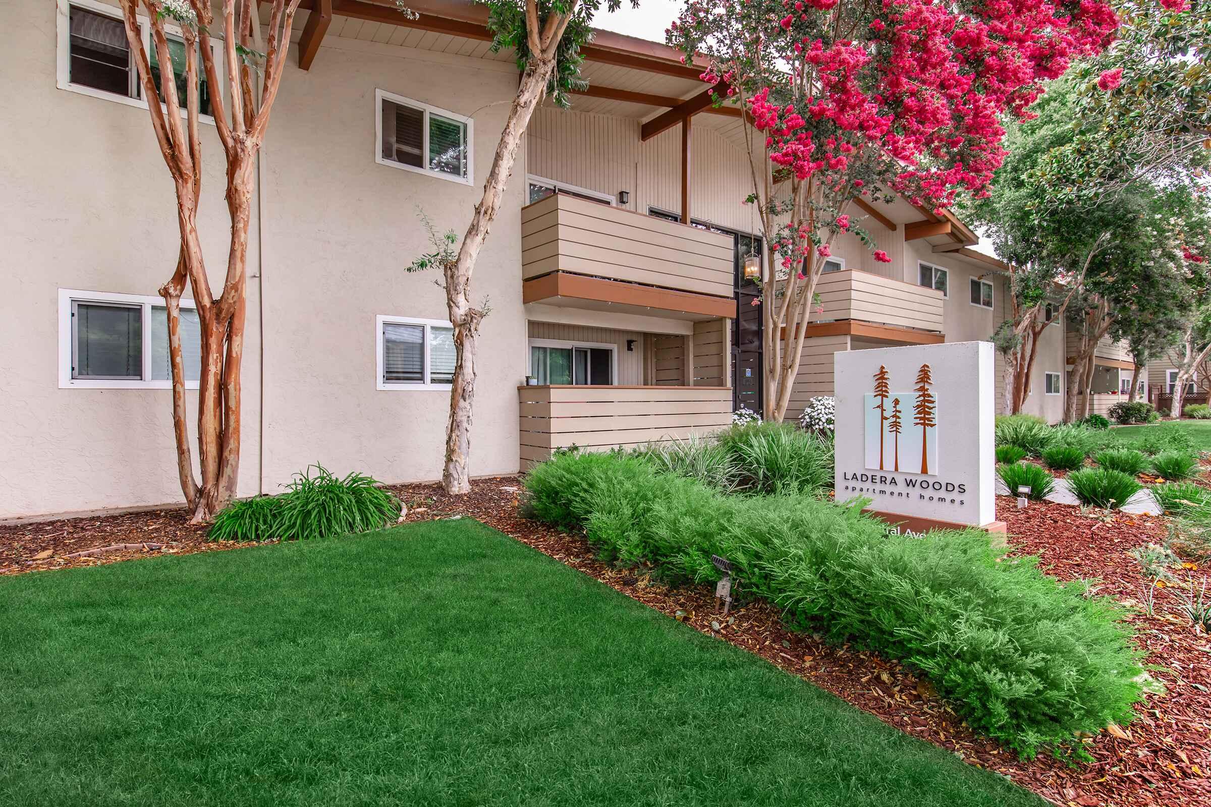 a close up of a flower garden in front of a house