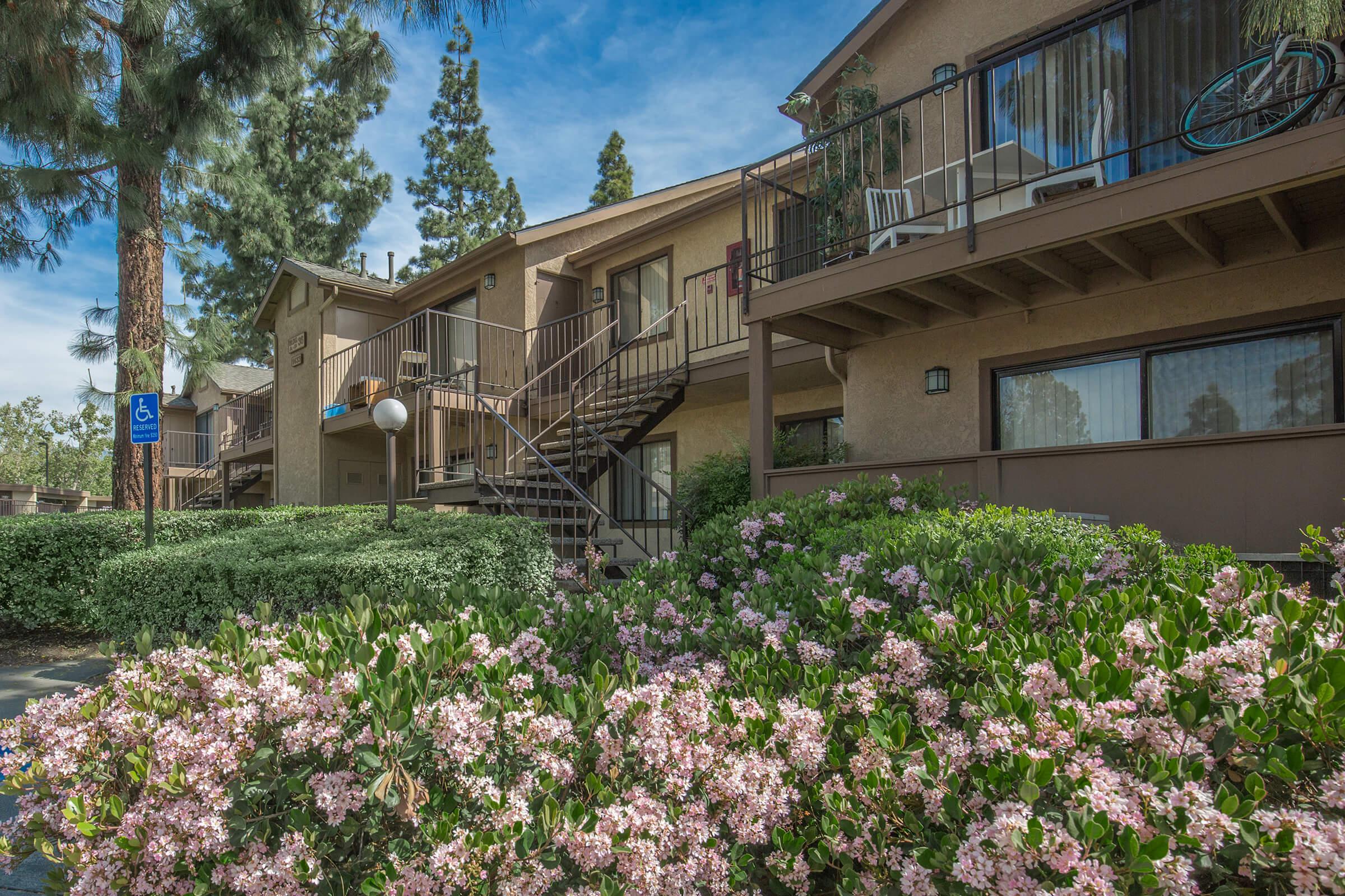 Mountain Springs Apartment Homes community building with pink flowers