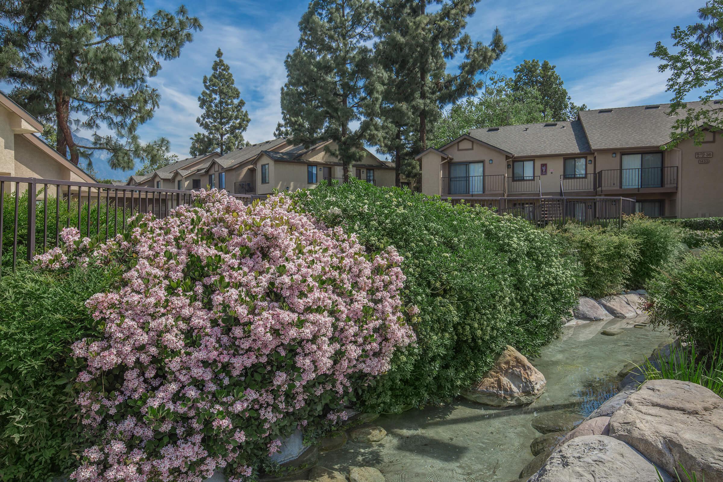 Green bushes and pink flowers over water feature