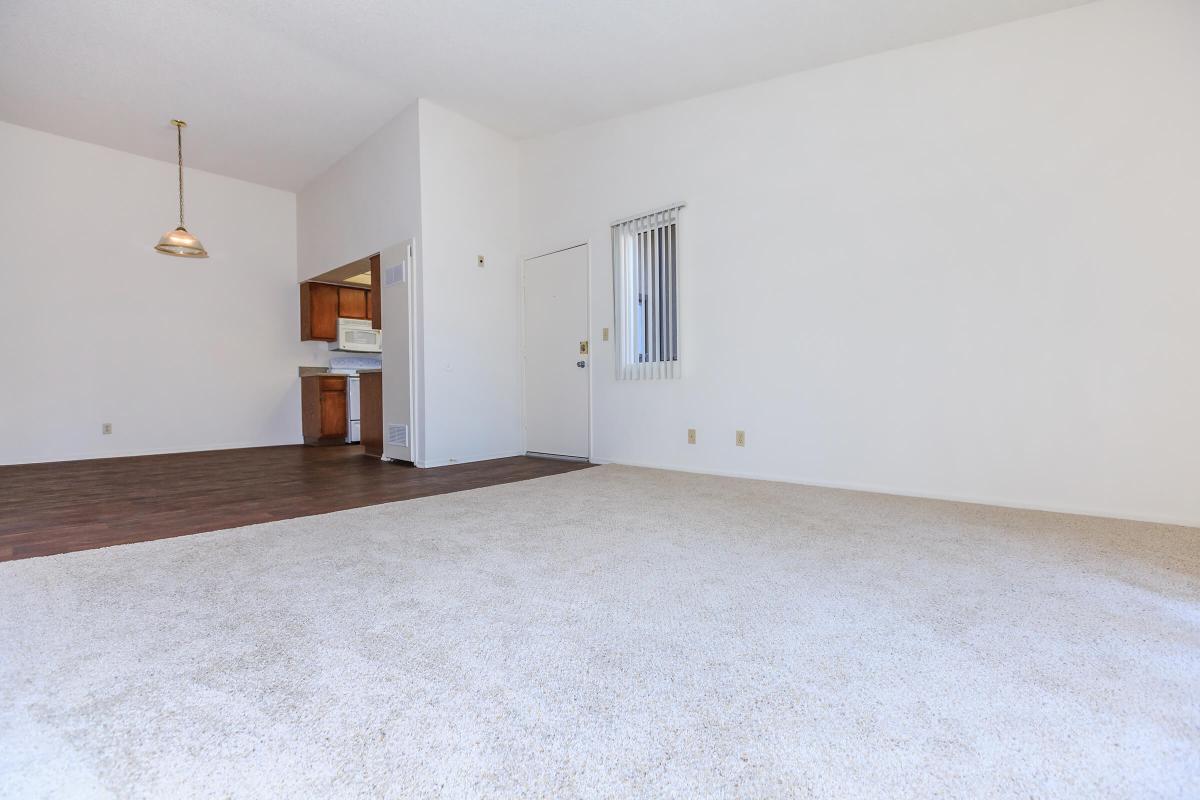 Carpeted living room and dining room with wooden floors