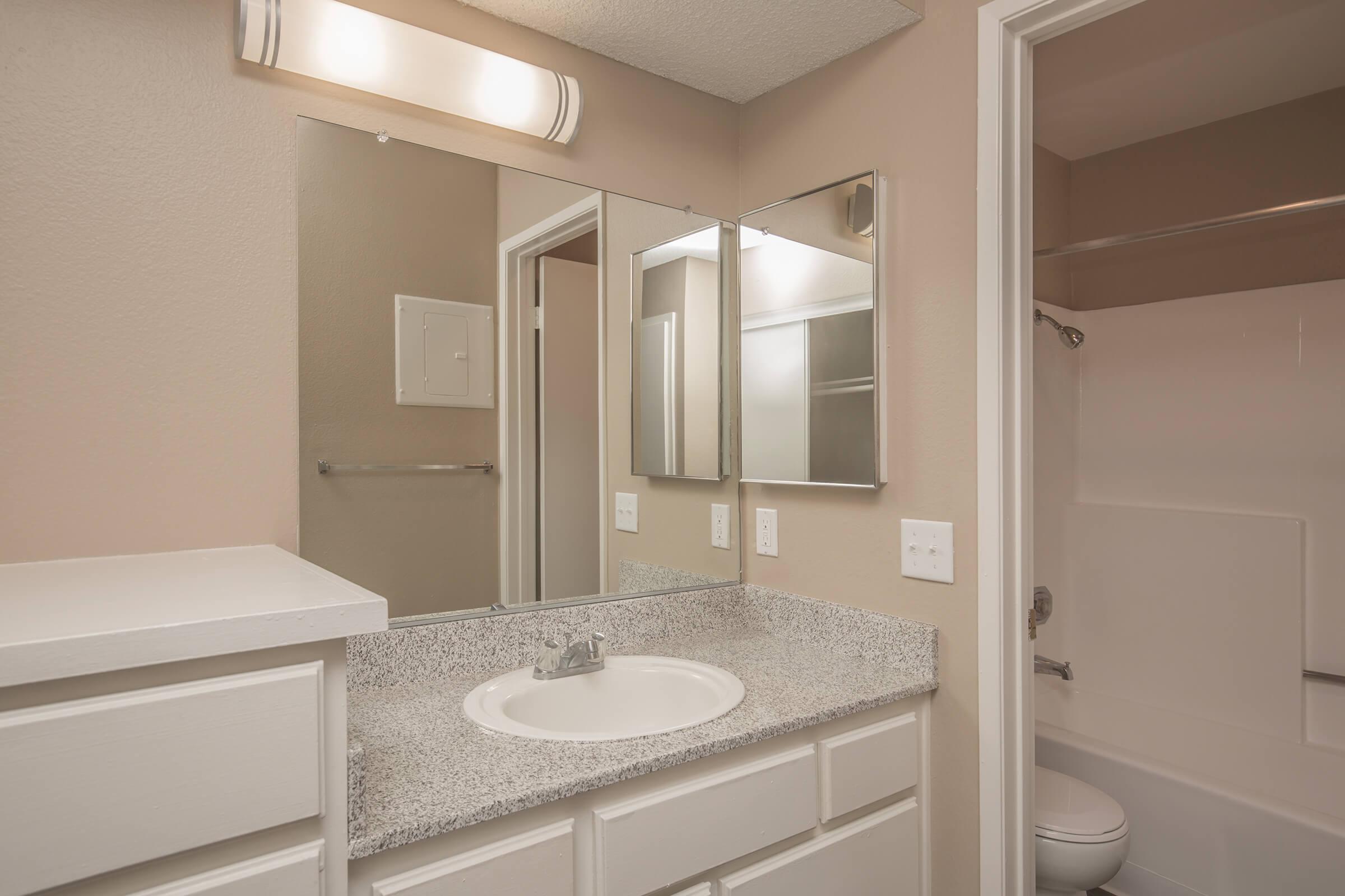 Bathroom sink with open door to shower