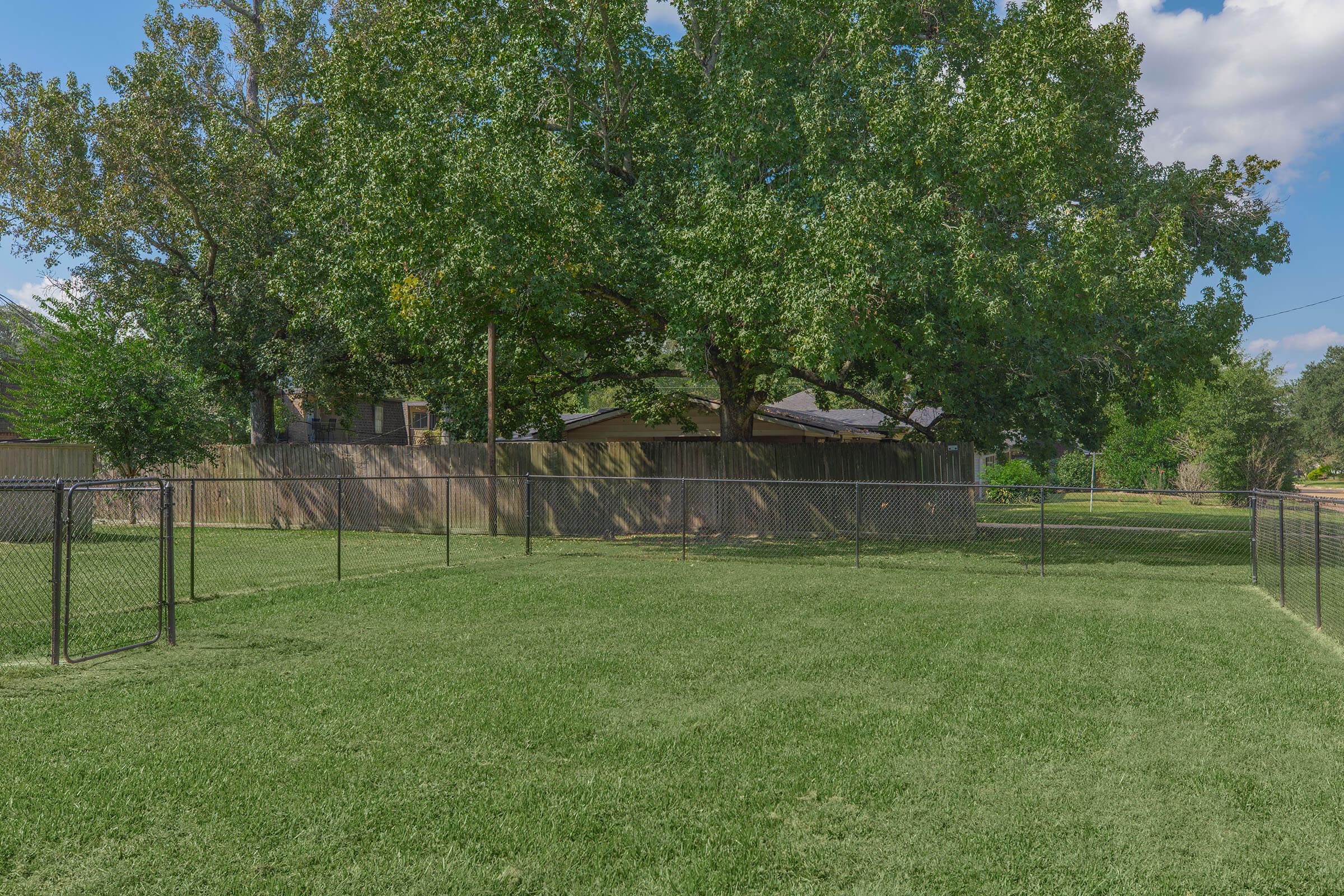 A fenced grassy yard with a large tree and a house partially visible in the background. The scene is sunny with a few clouds in the sky, creating a peaceful outdoor setting. The lawn is well-maintained, and the fence outlines the perimeter of the yard.