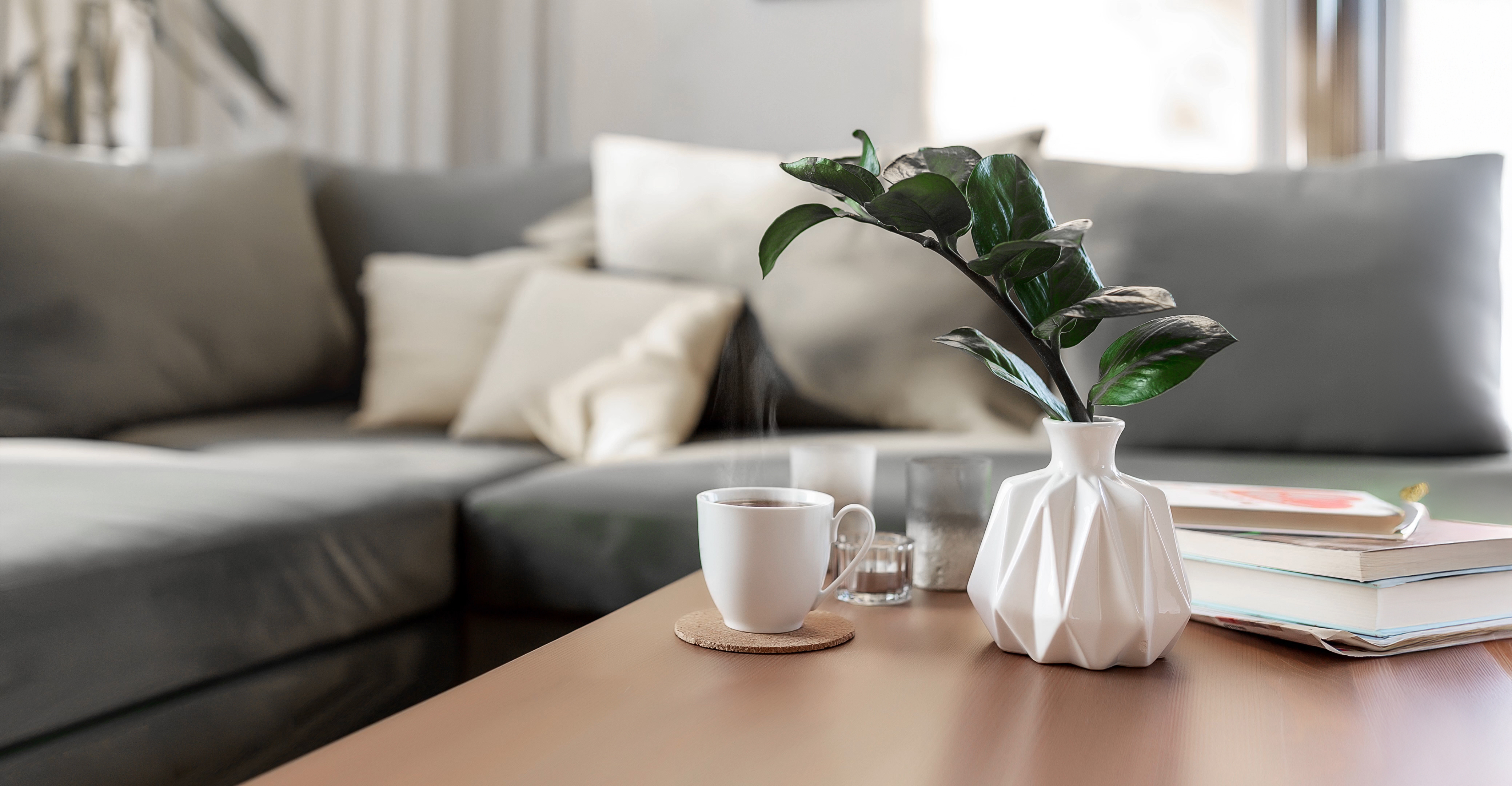 Apartment Features