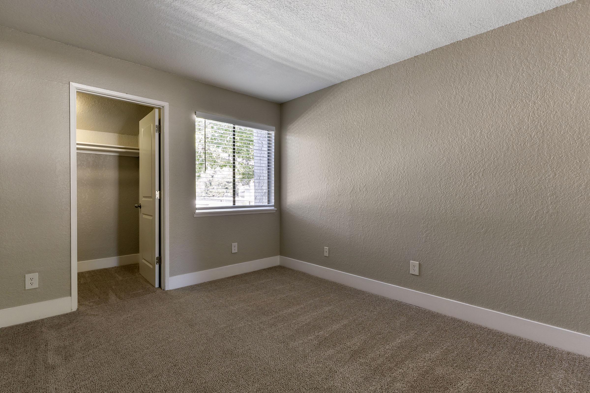 A bare, empty room with light gray walls and a window with blinds. There is a closet door on the left and light beige carpet on the floor. Natural light comes through the window, creating a bright, airy atmosphere.