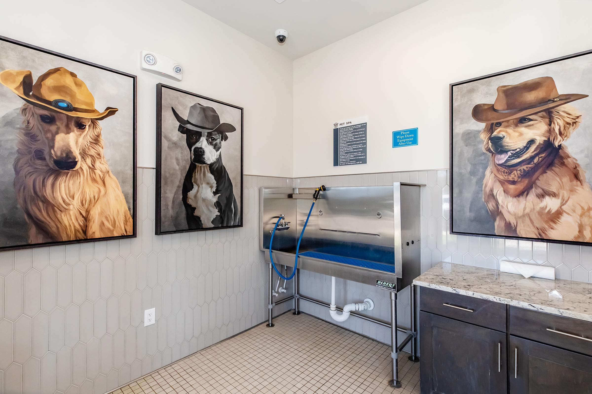 A clean pet washing station in a modern room, featuring three large framed portraits of dogs wearing cowboy hats. The station includes a stainless steel wash tub with a blue hose and a sign on the wall above. The decor combines playful art with practical pet care amenities.