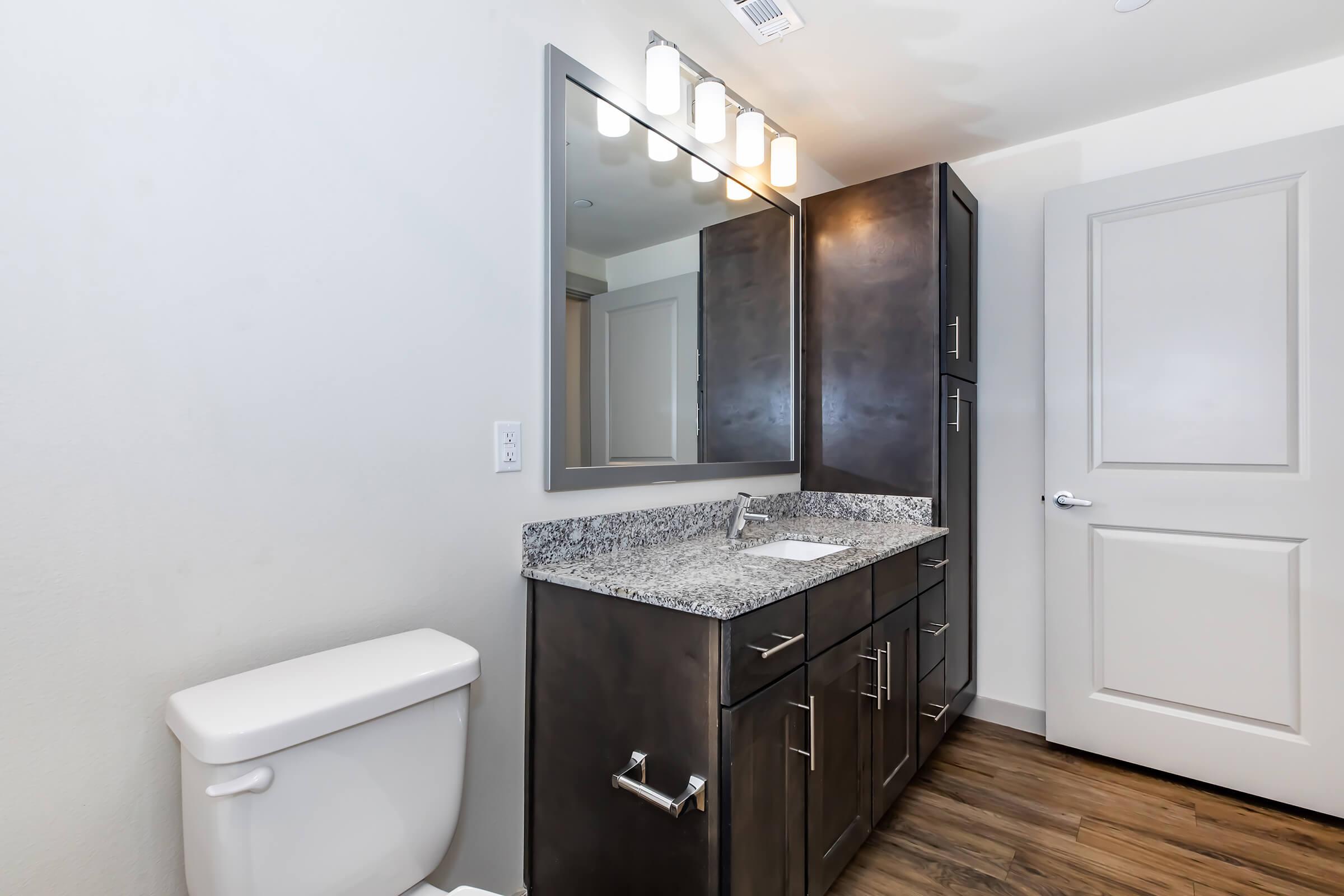 A modern bathroom featuring a dark wood vanity with a granite countertop, a large mirror, and overhead lighting. There's a white toilet to the left and a closed door on the right. The flooring is a light wood finish, creating a clean and contemporary look.