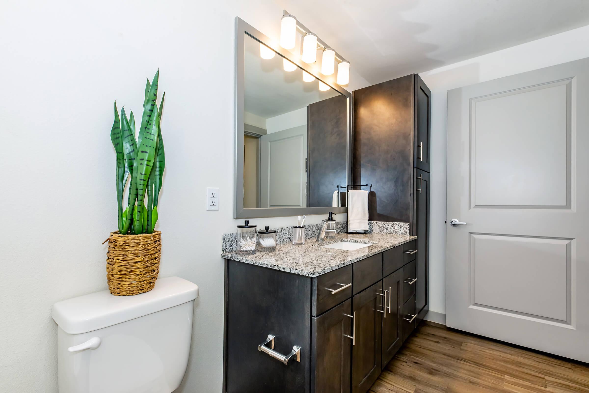A modern bathroom featuring a dark cabinetry vanity with a granite countertop, a large mirror with bright lighting, a white toilet, and a decorative potted plant on the countertop. The flooring is wooden, contributing to a contemporary aesthetic. A door is visible in the background.