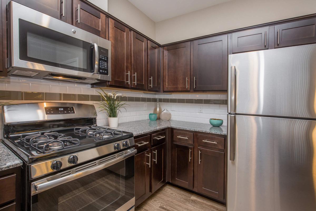 Townhouse Stainless Steel Appliances at The Passage Apartments